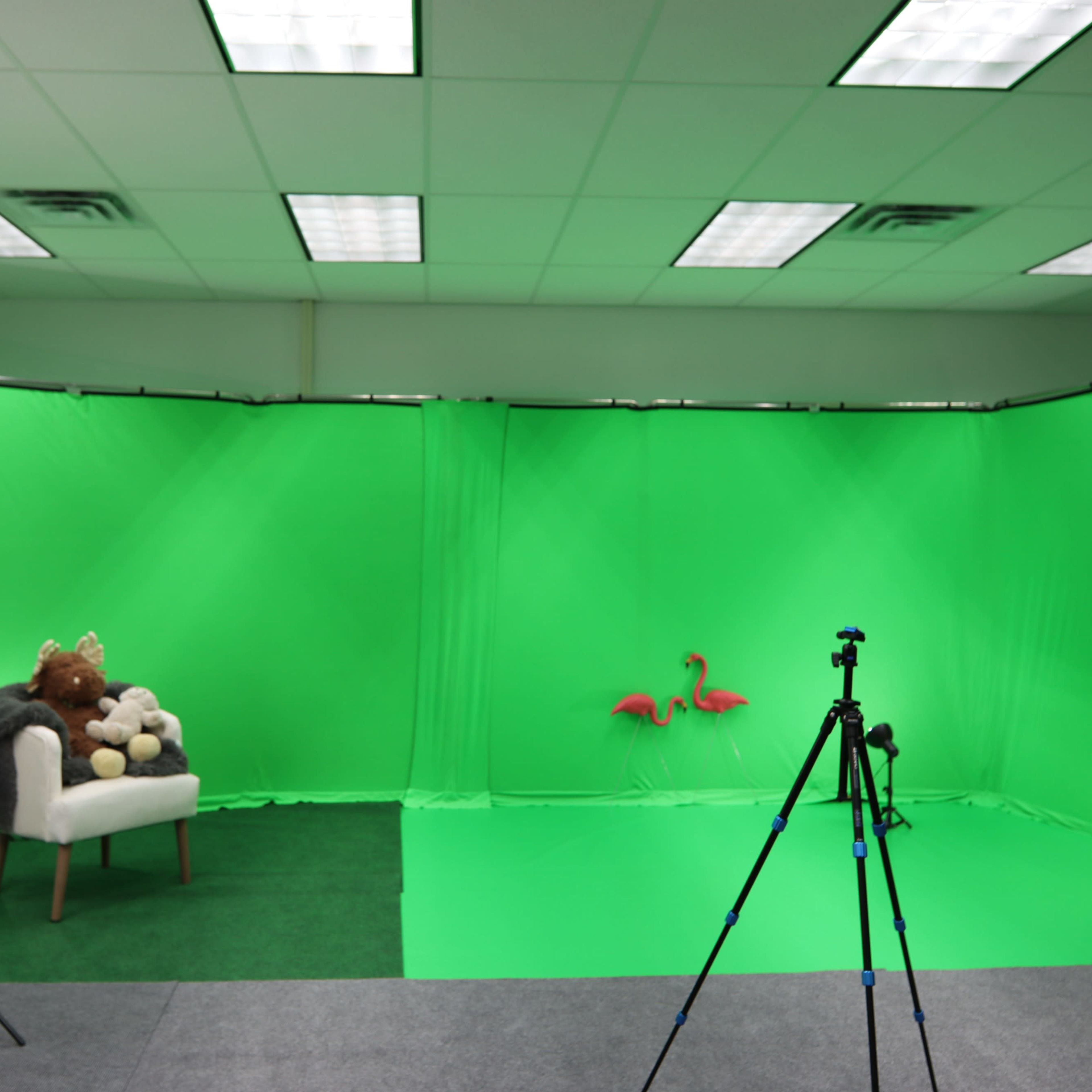A studio setup features a green screen backdrop with a chair, plush toys, and equipment for photography or video production.