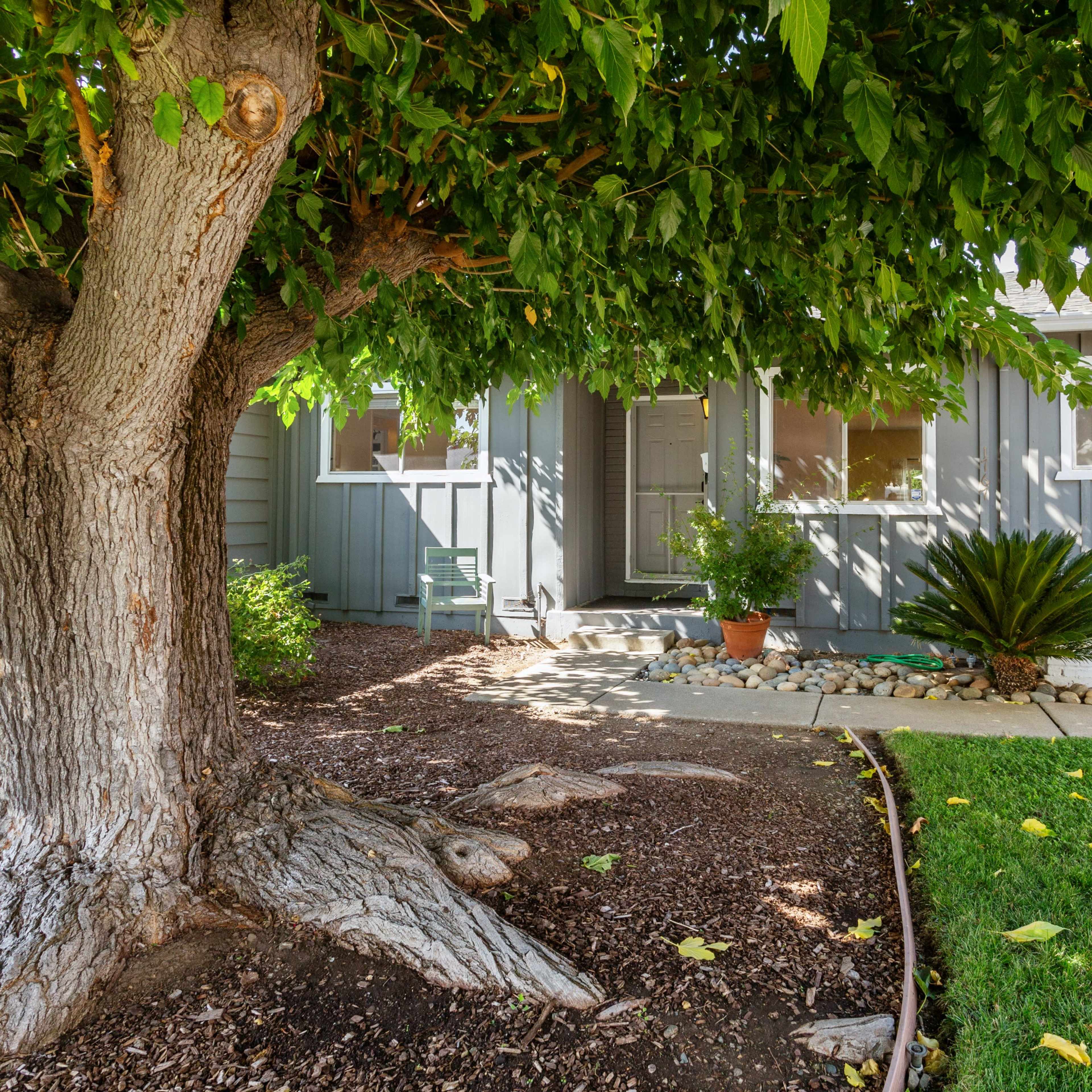A large tree shades the entrance of a residential house, where a potted plant and decorative foliage are visible.