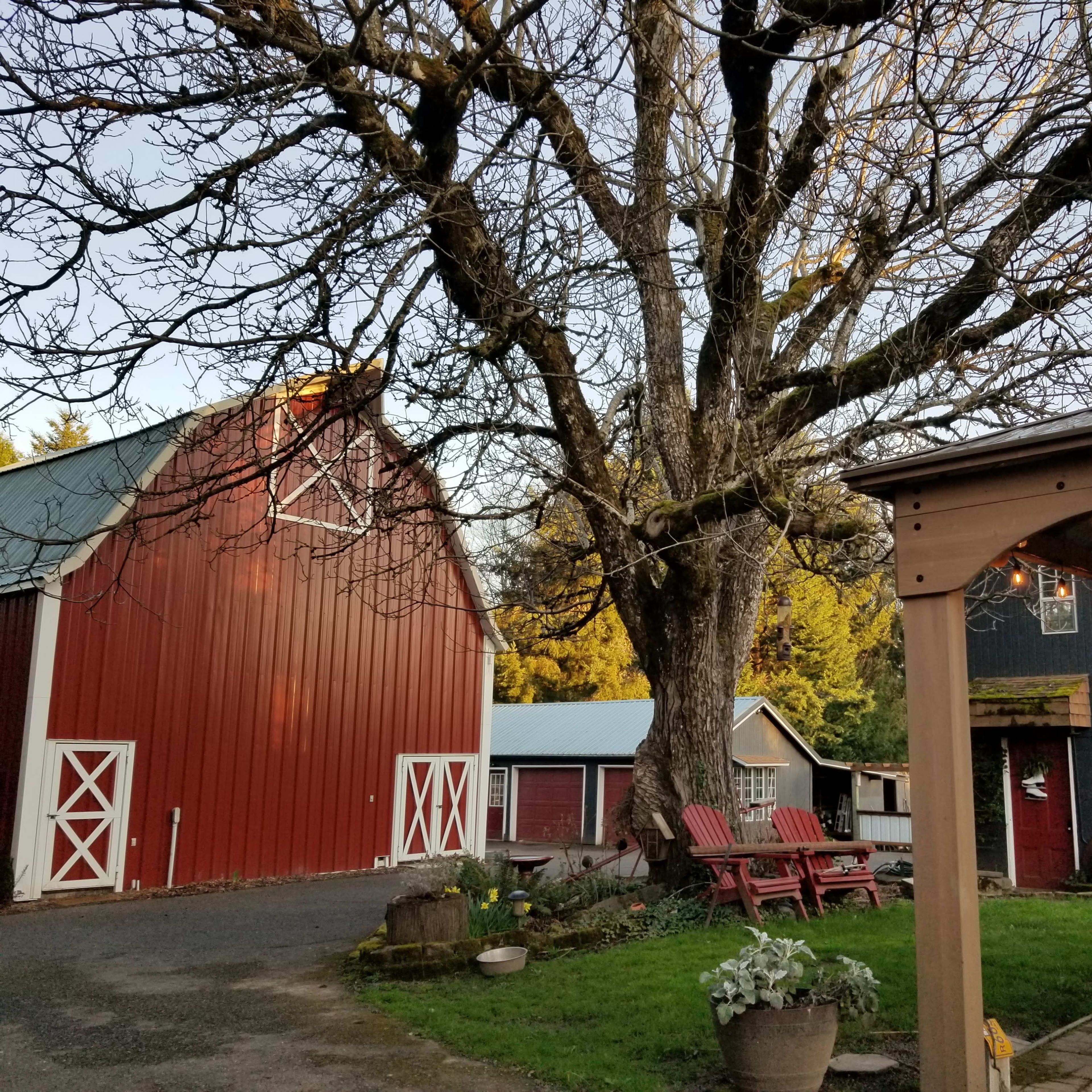 A large, bare tree stands next to a red barn and several outbuildings, with a patio area featuring outdoor furniture in the foreground.