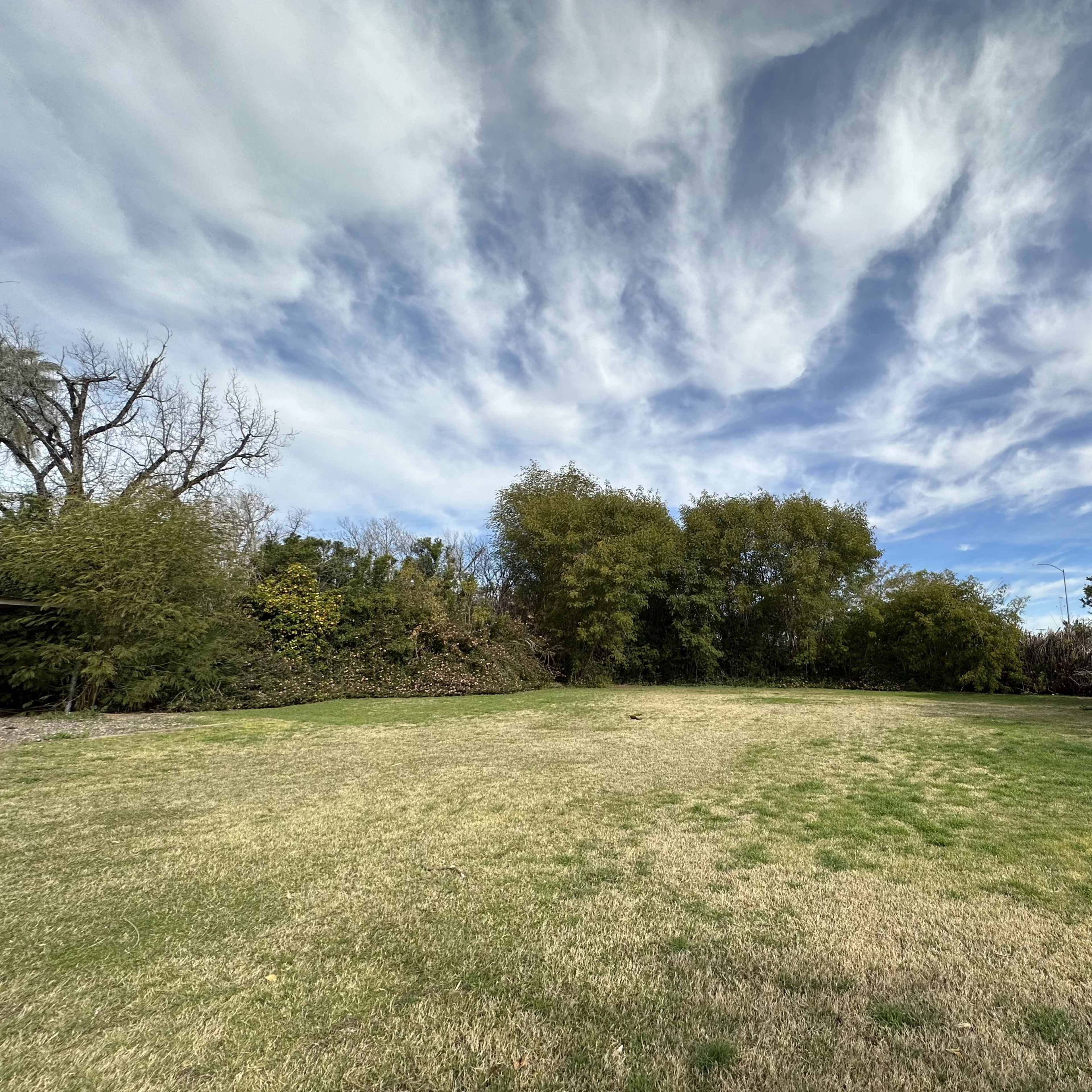 A wide grassy area is surrounded by trees and bushes under a cloudy sky.
