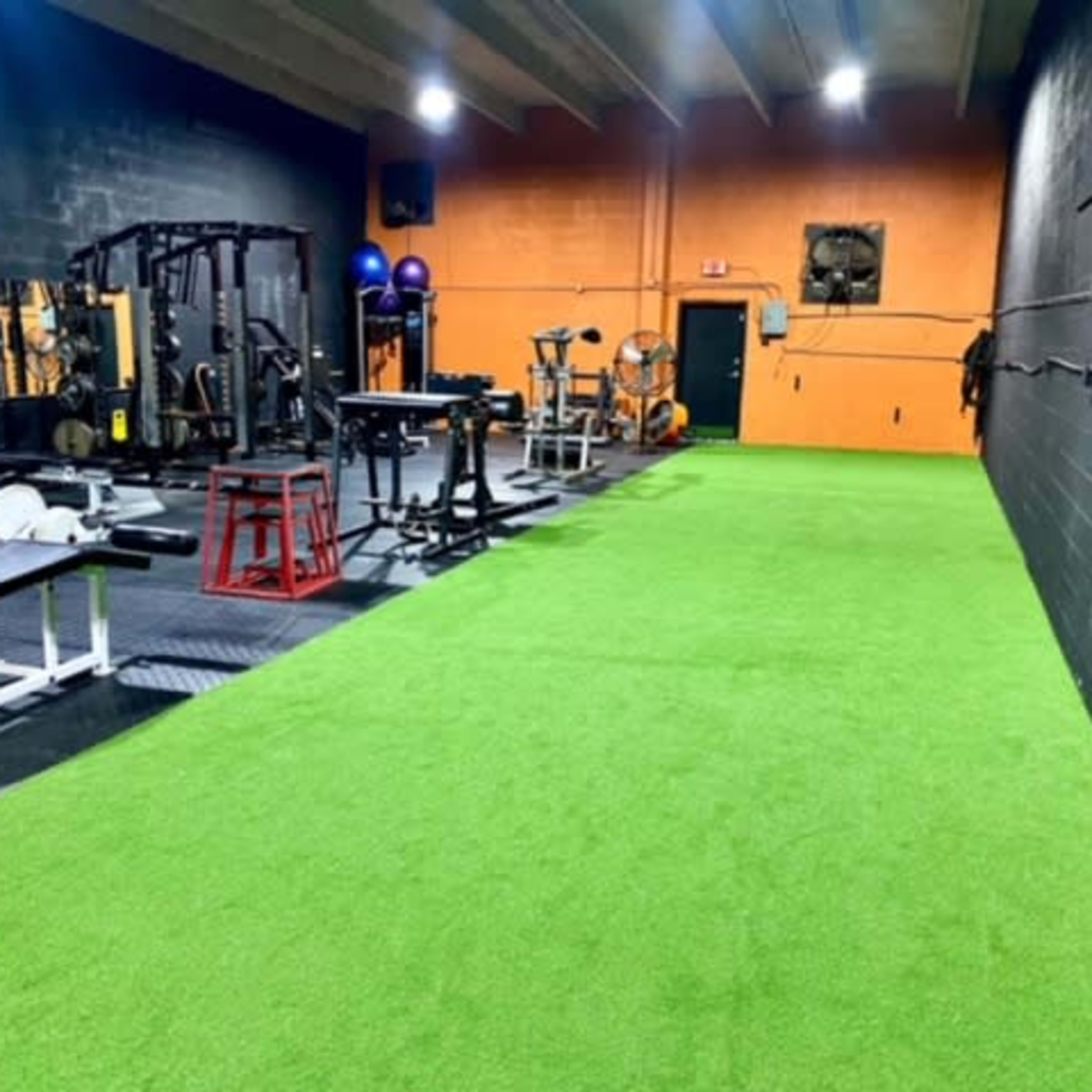 A gym interior featuring exercise equipment and artificial turf flooring.