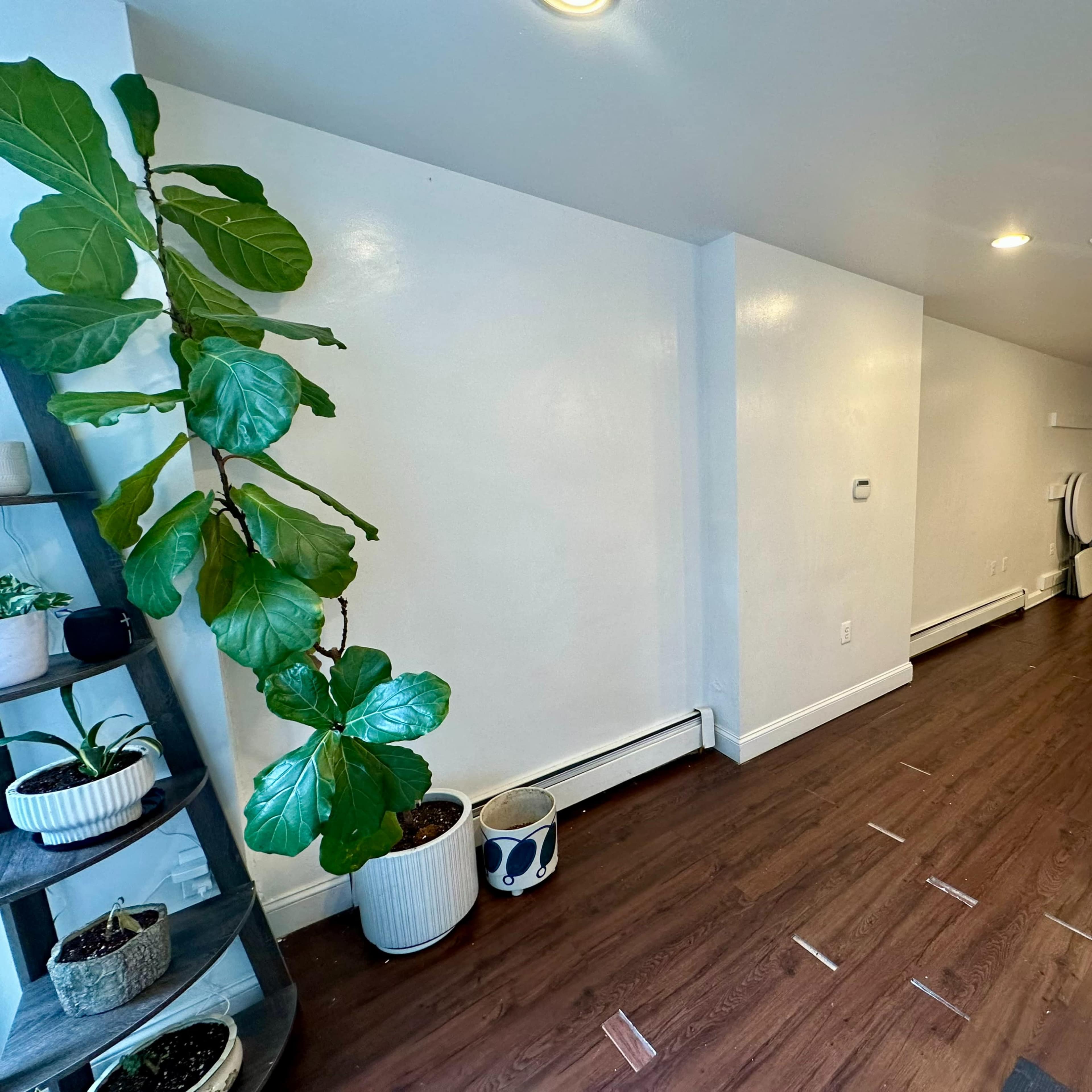 Quaint Central Harlem Space Ideal for Pop-Ups, Events, & Creative Use Image in Harlem, New York, NY