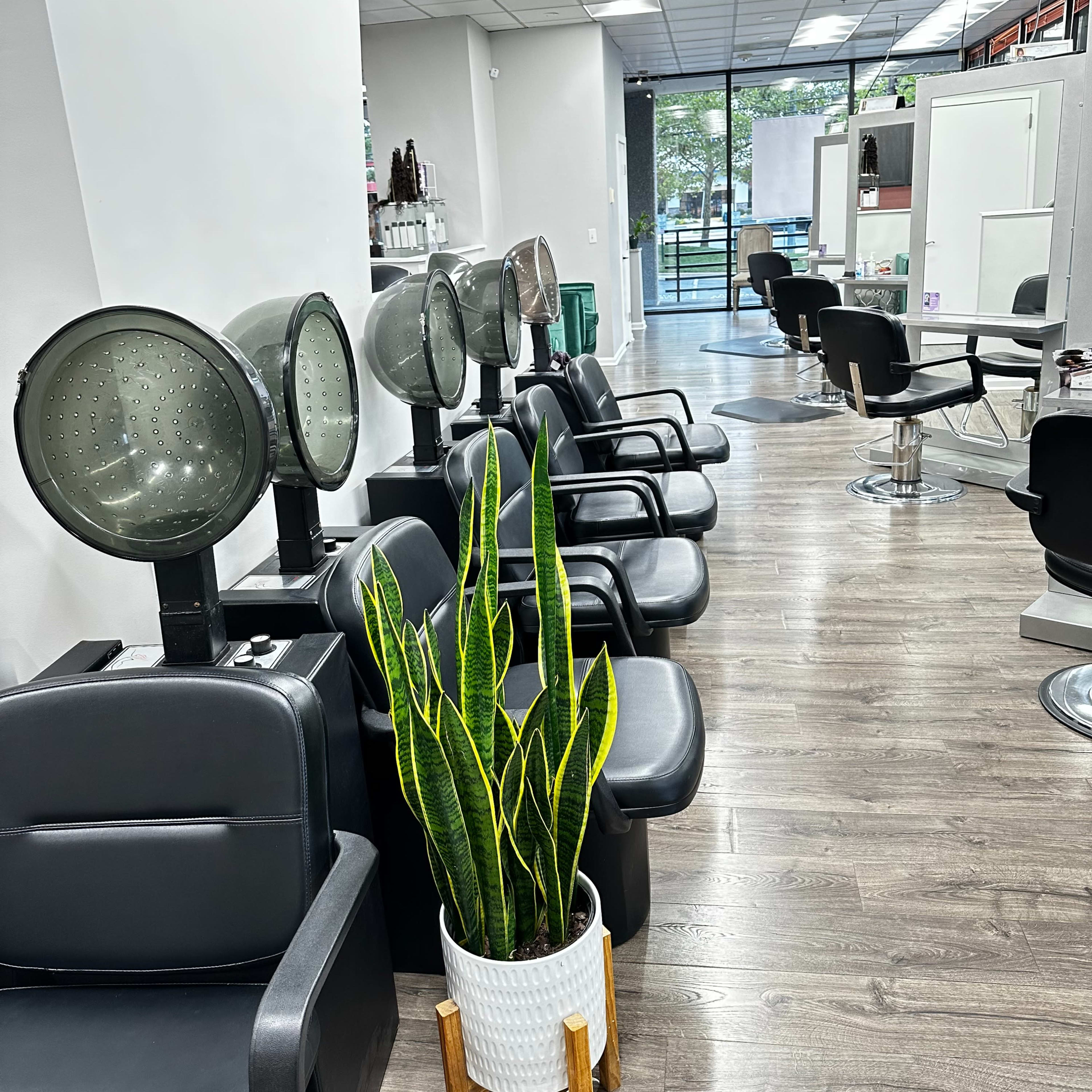 A row of salon chairs with hooded dryers and a potted plant in a hair salon.