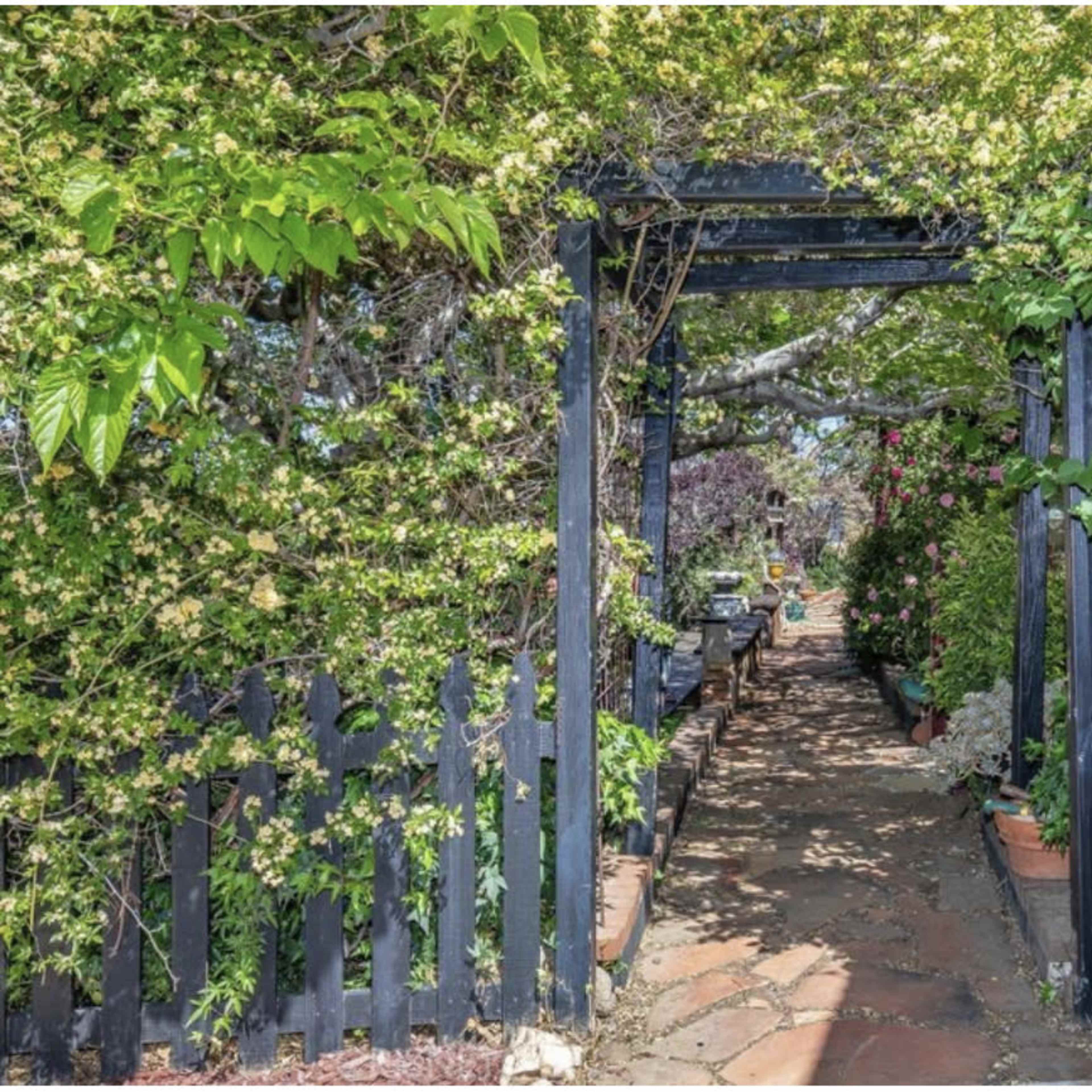 A narrow path lined with plants leads through a black wooden archway covered in greenery.