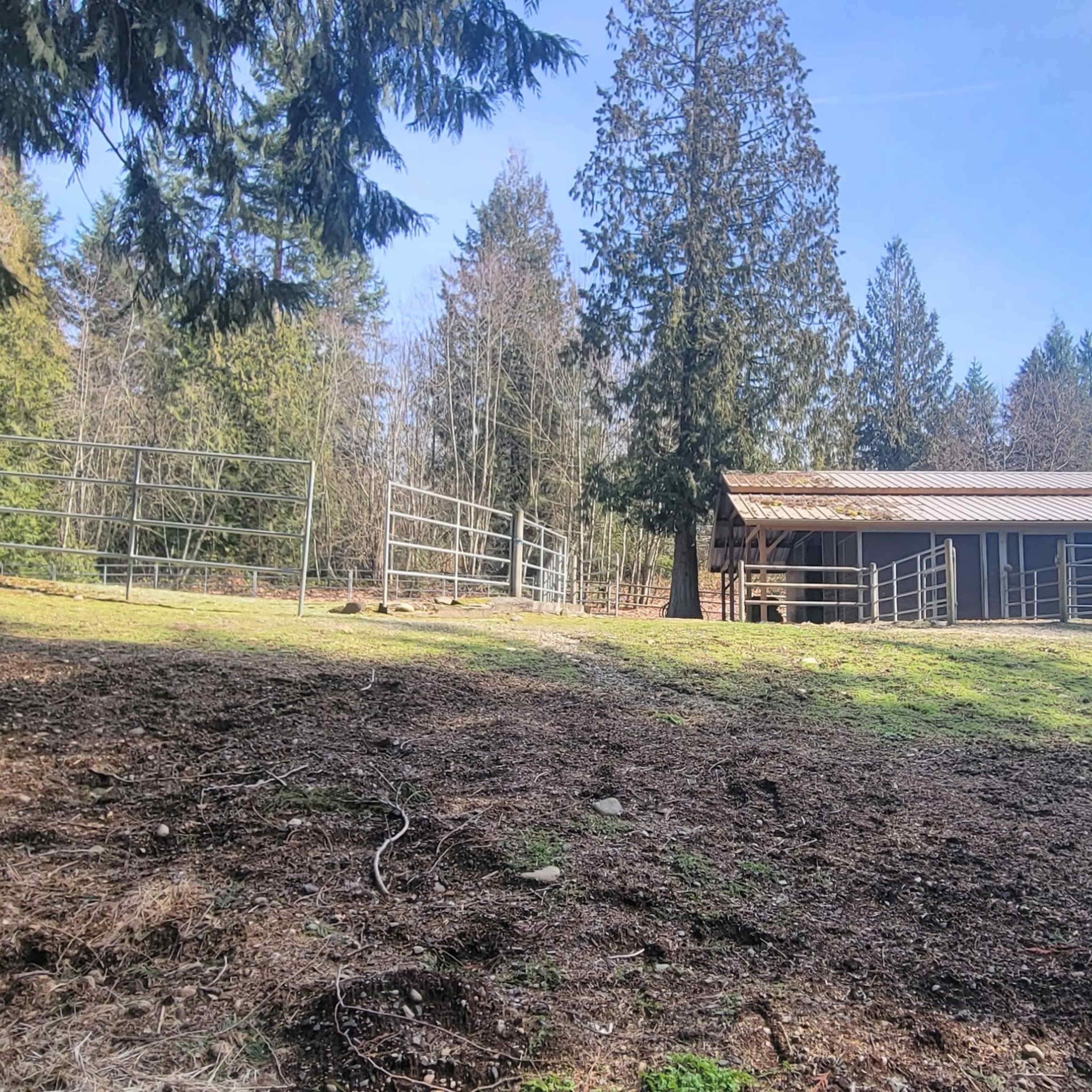 A fenced pasture with a shelter and trees in the background.