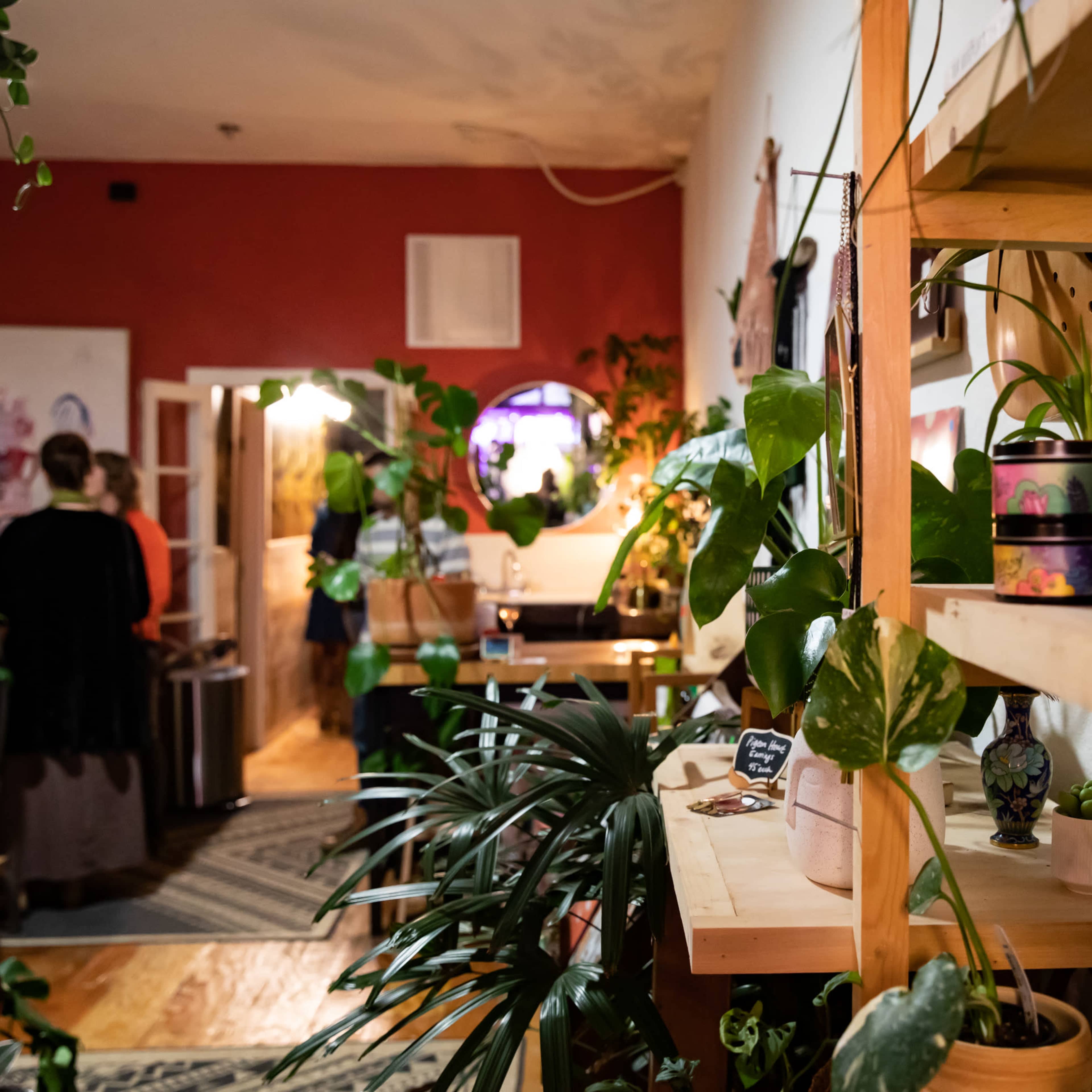 Neighborhood plant shop with “jungle room” Image in Northeast Portland, Portland, OR
