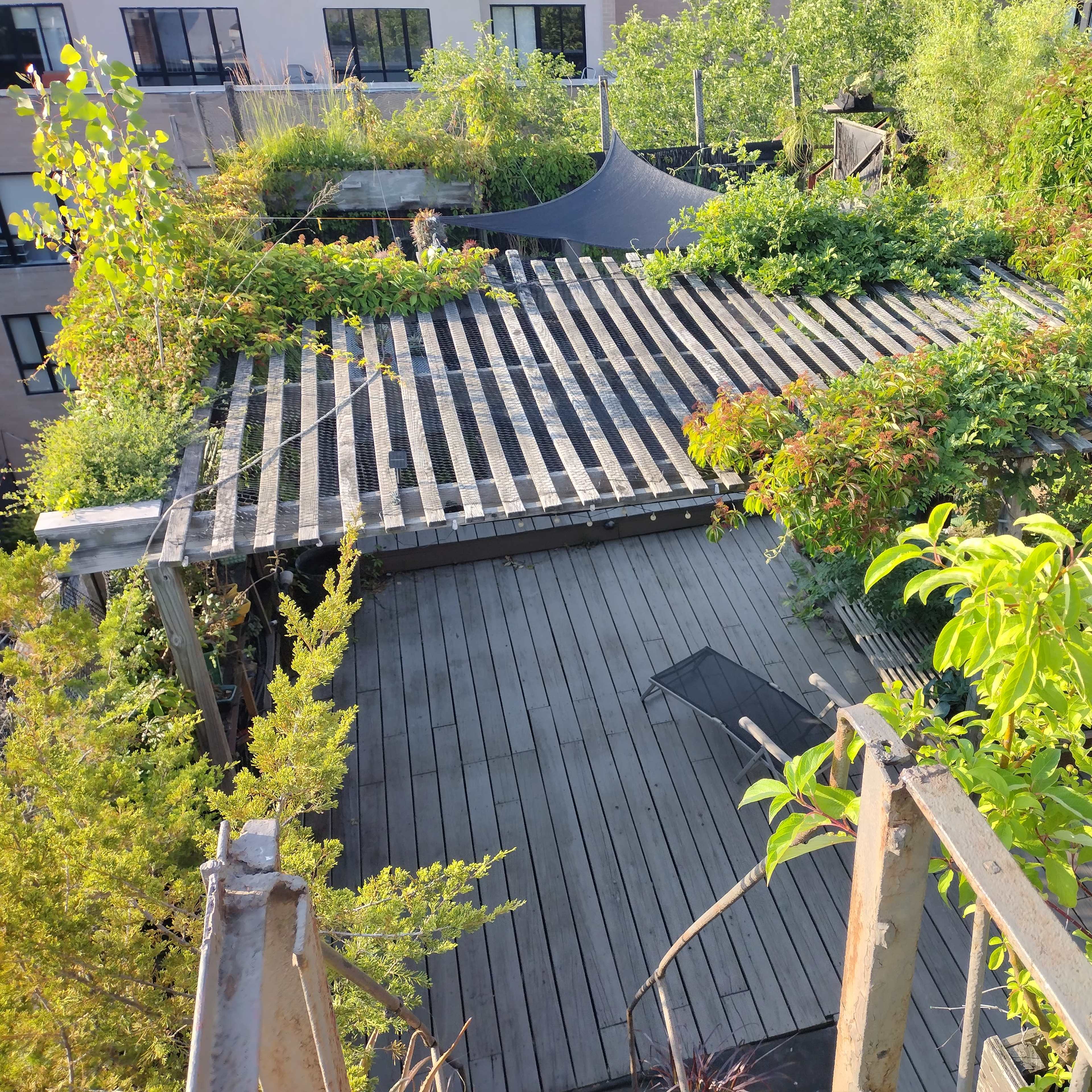 A wooden deck covered with various plants and greenery is seen on a rooftop terrace.