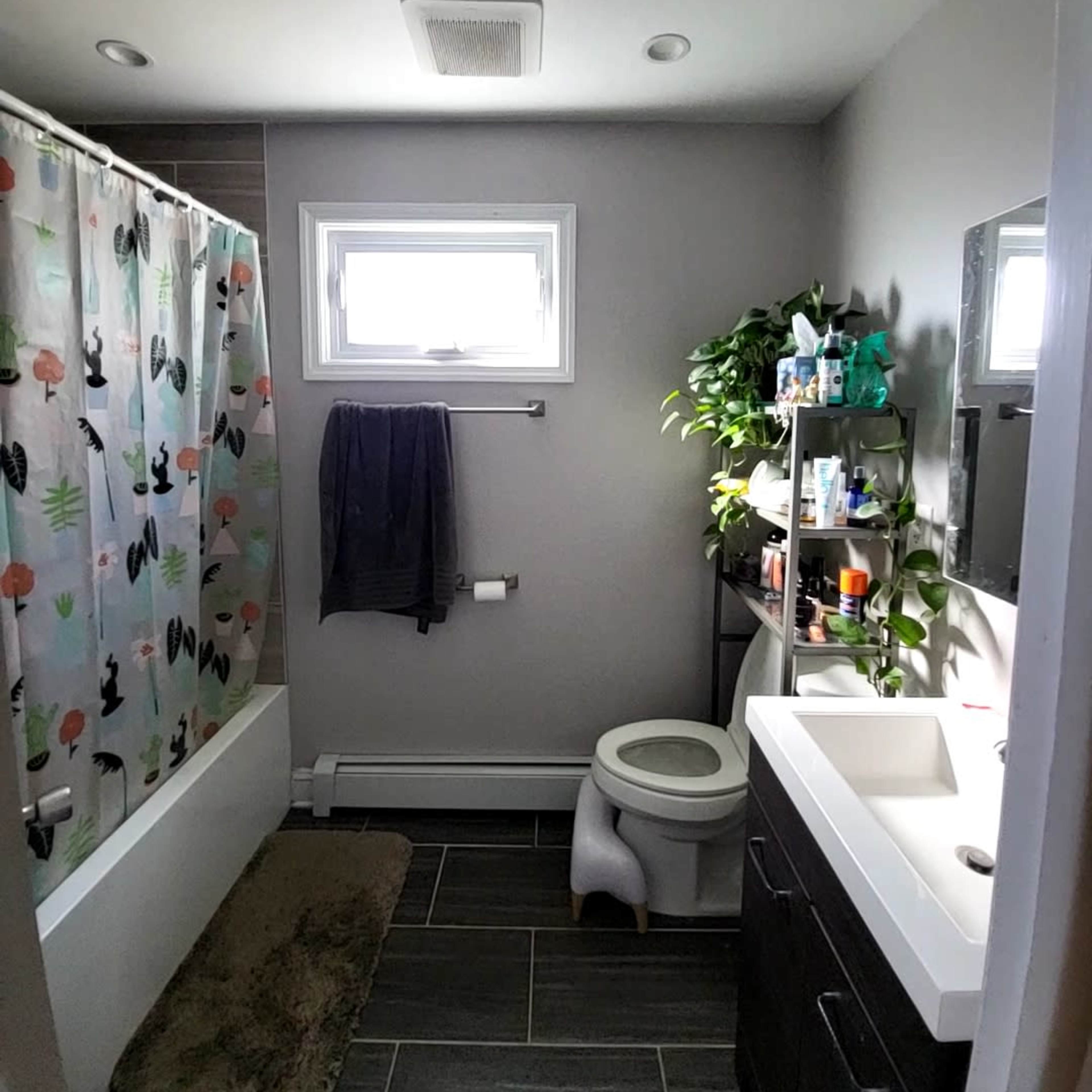The bathroom features a shower/tub combination, a modern sink with a dark cabinet, and a shelf filled with toiletries and plants.