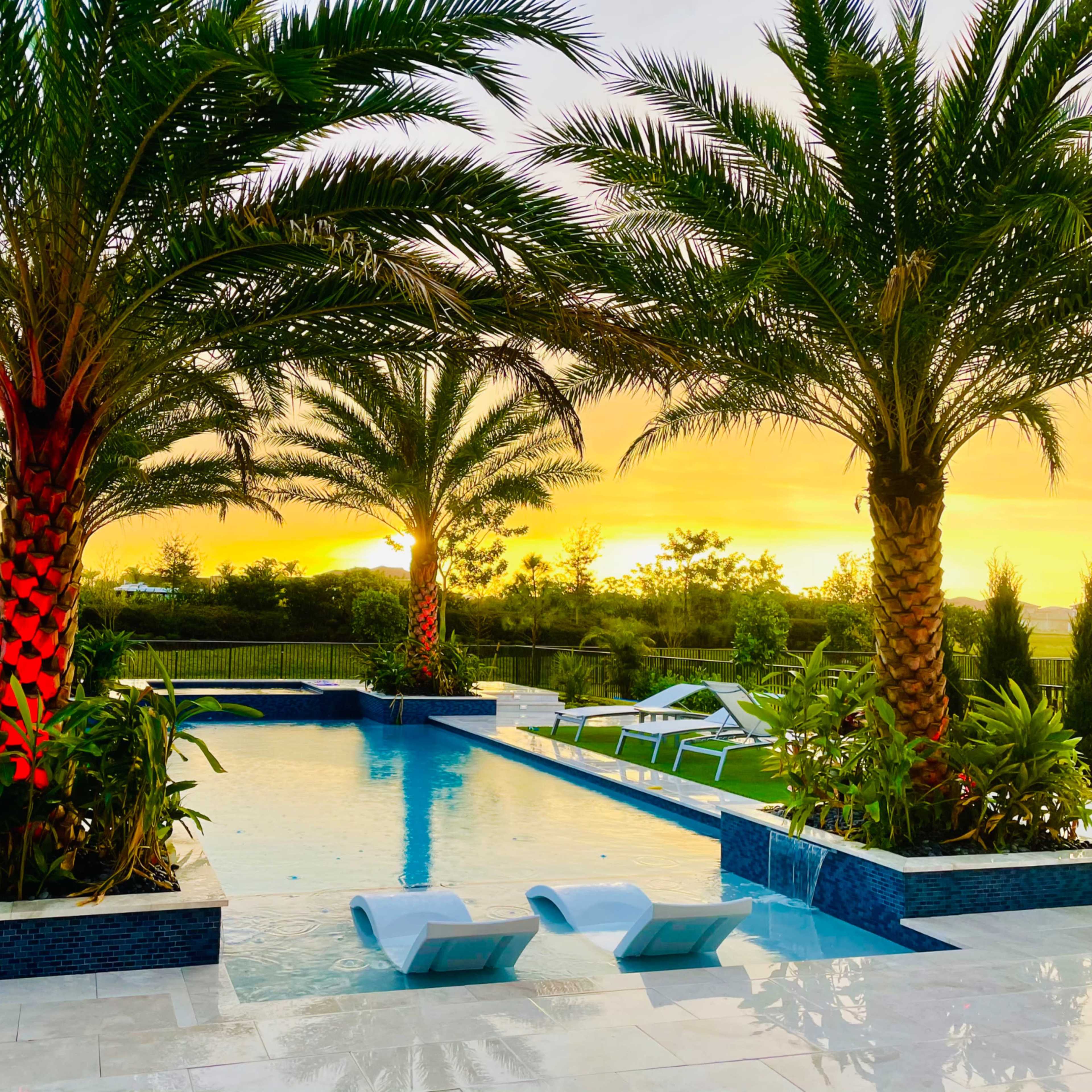 A modern backyard features a swimming pool surrounded by tall palm trees and lounge chairs, with a sunset in the background.
