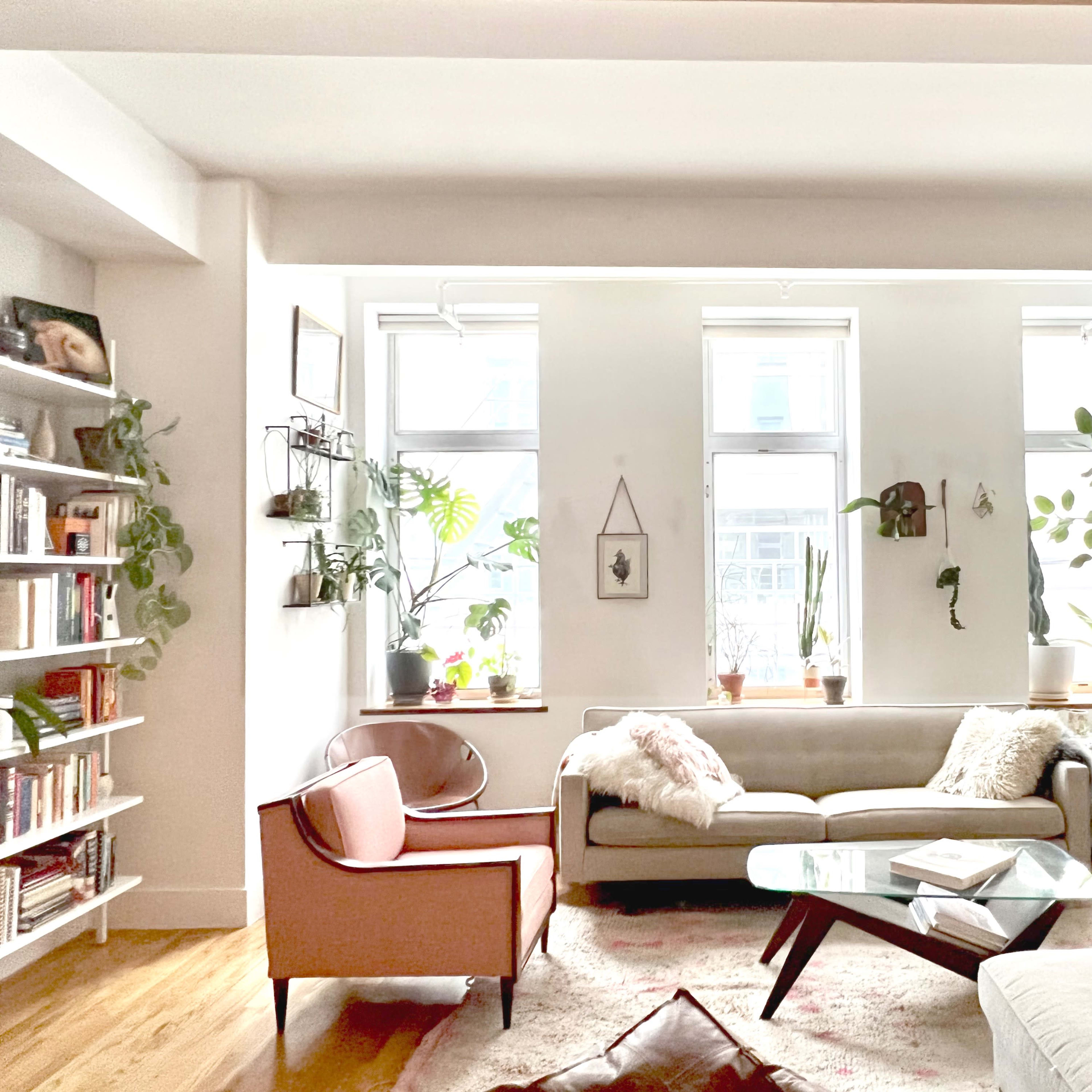 A bright living room featuring two sofas, a coffee table, houseplants by the windows, a bookshelf filled with books, and a TV in the corner.