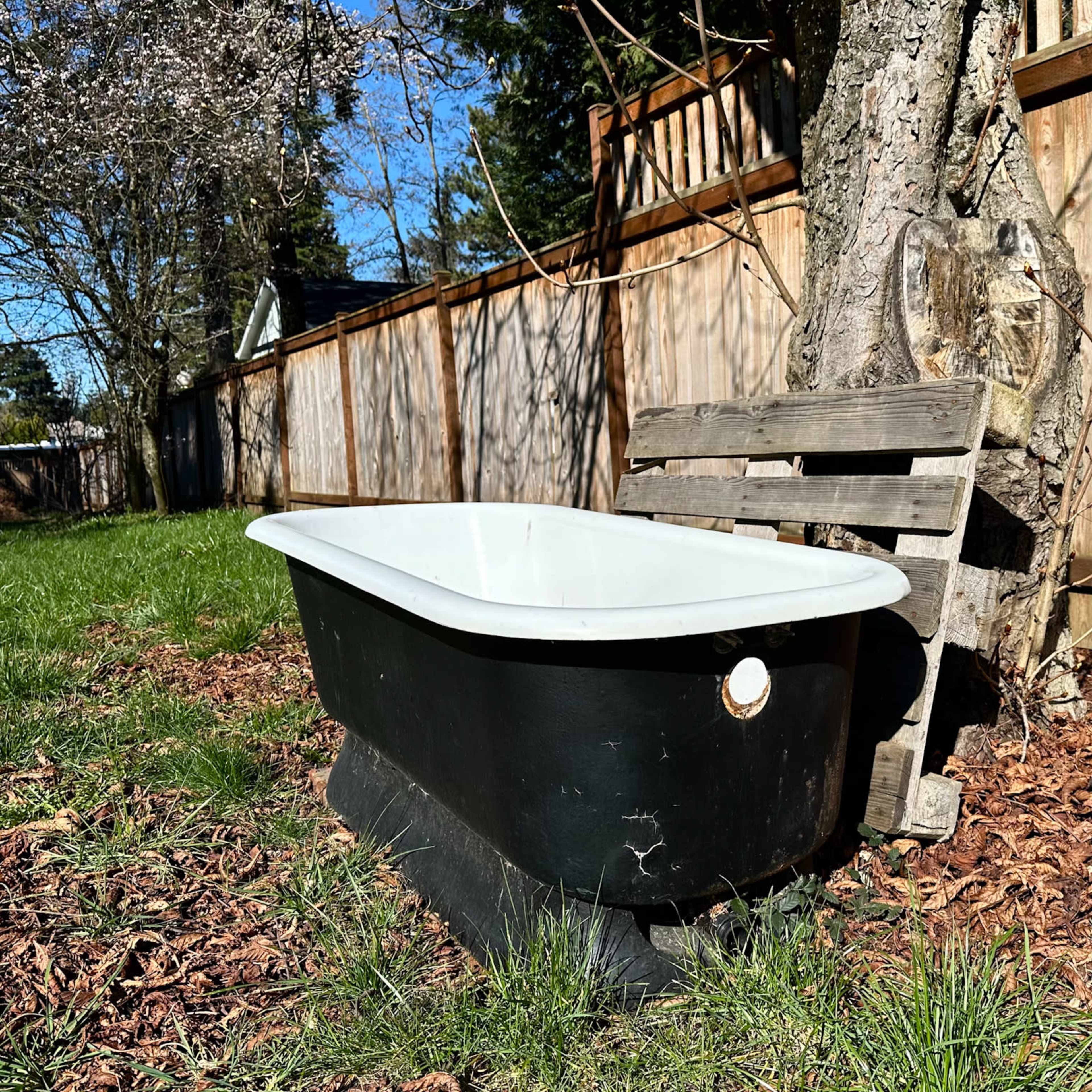 An old black and white bathtub sits on a grass patch next to a wooden pallet and a tree in a backyard.