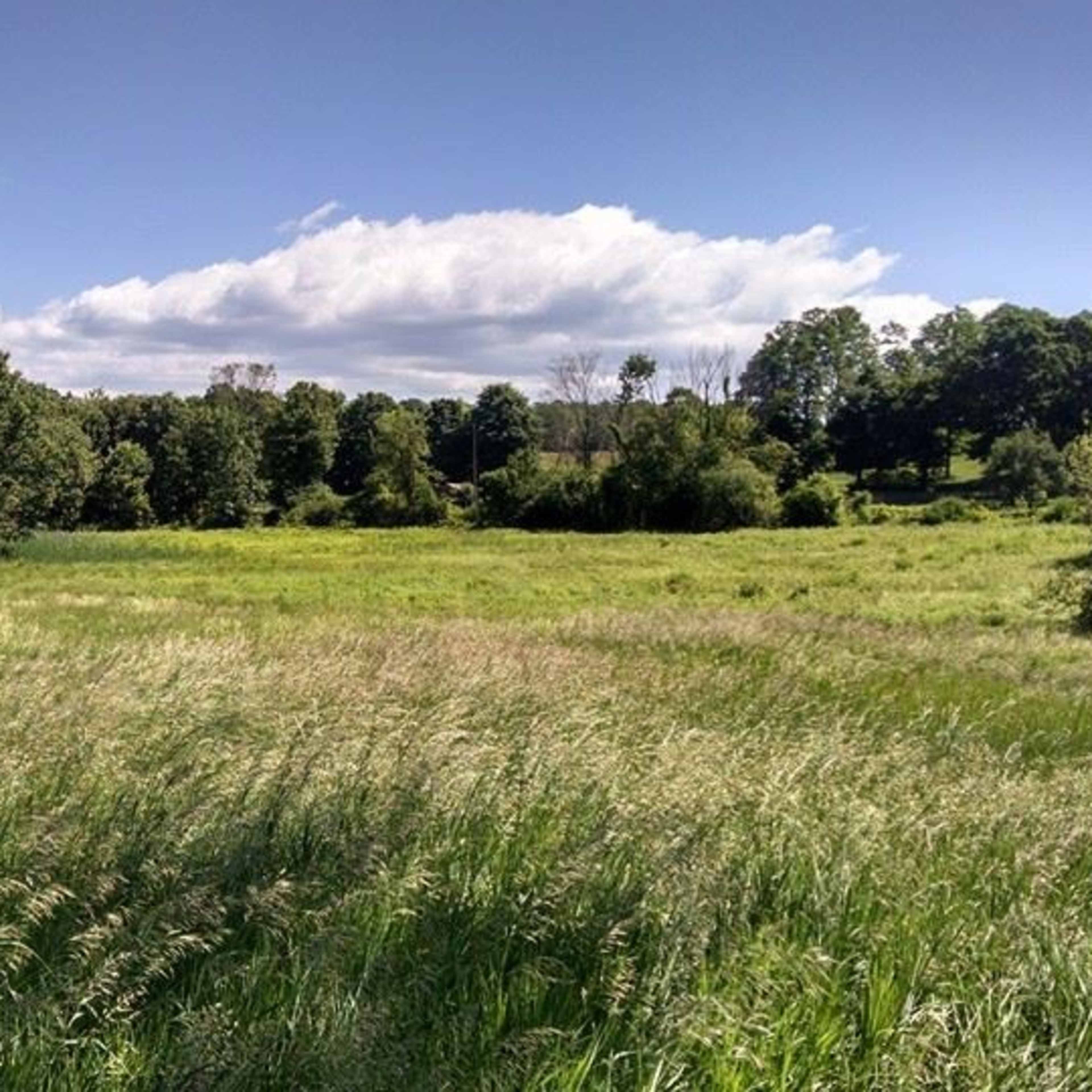 Rustic Charm on 1850 Homestead Farm in Hudson Valley Image in Pleasant Valley, Hyde Park, NY