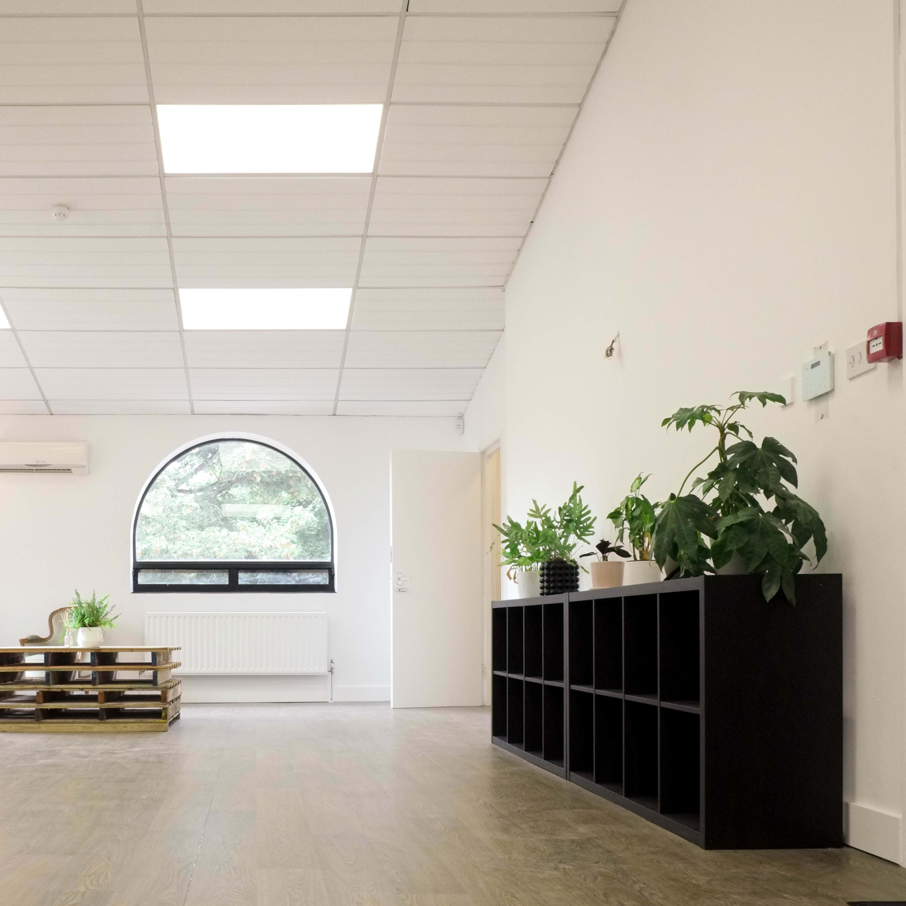 A spacious, well-lit room featuring a seating area with an armchair and a coffee table, alongside several potted plants and a black shelving unit against the wall.