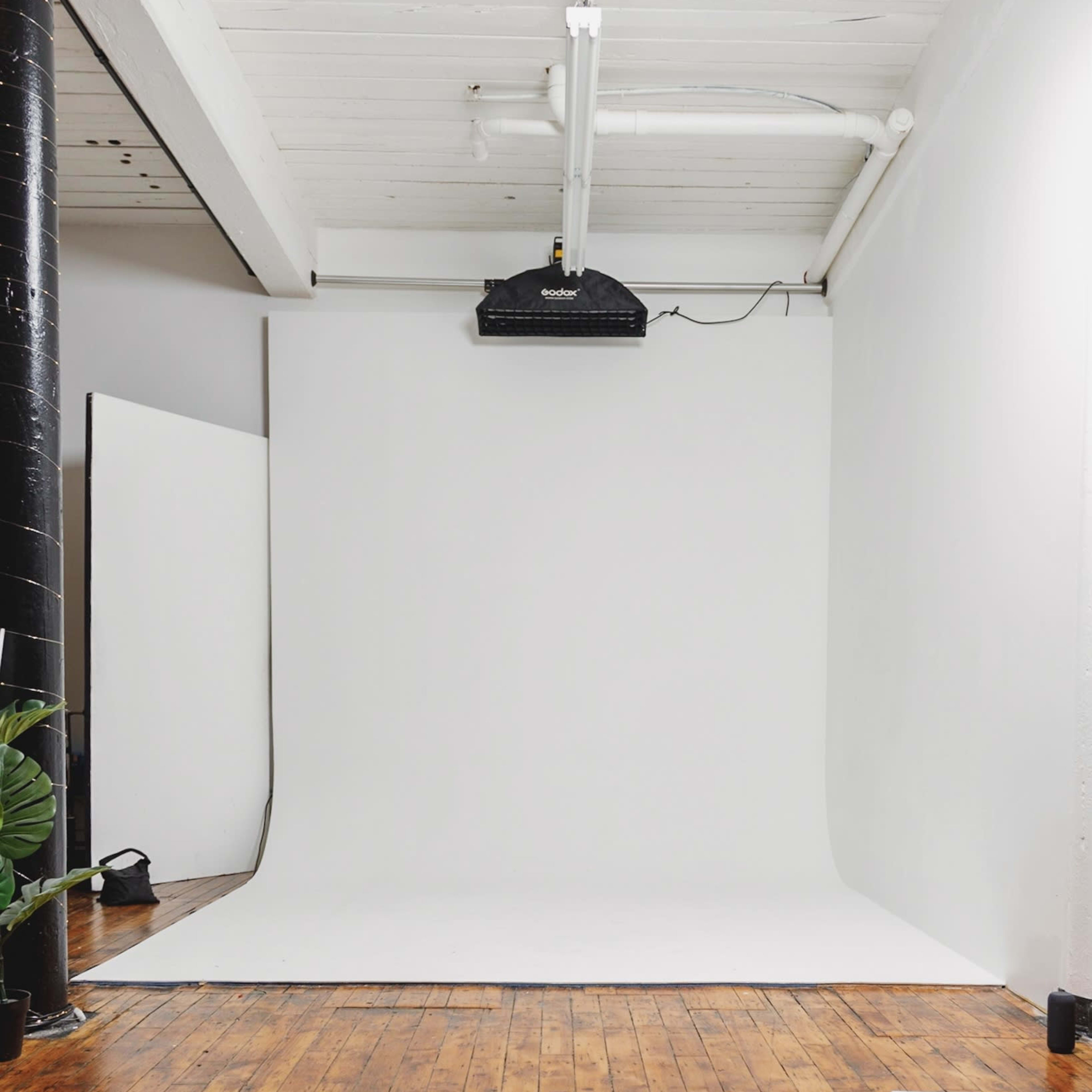 A photography studio with a white backdrop, wooden flooring, and overhead lighting.