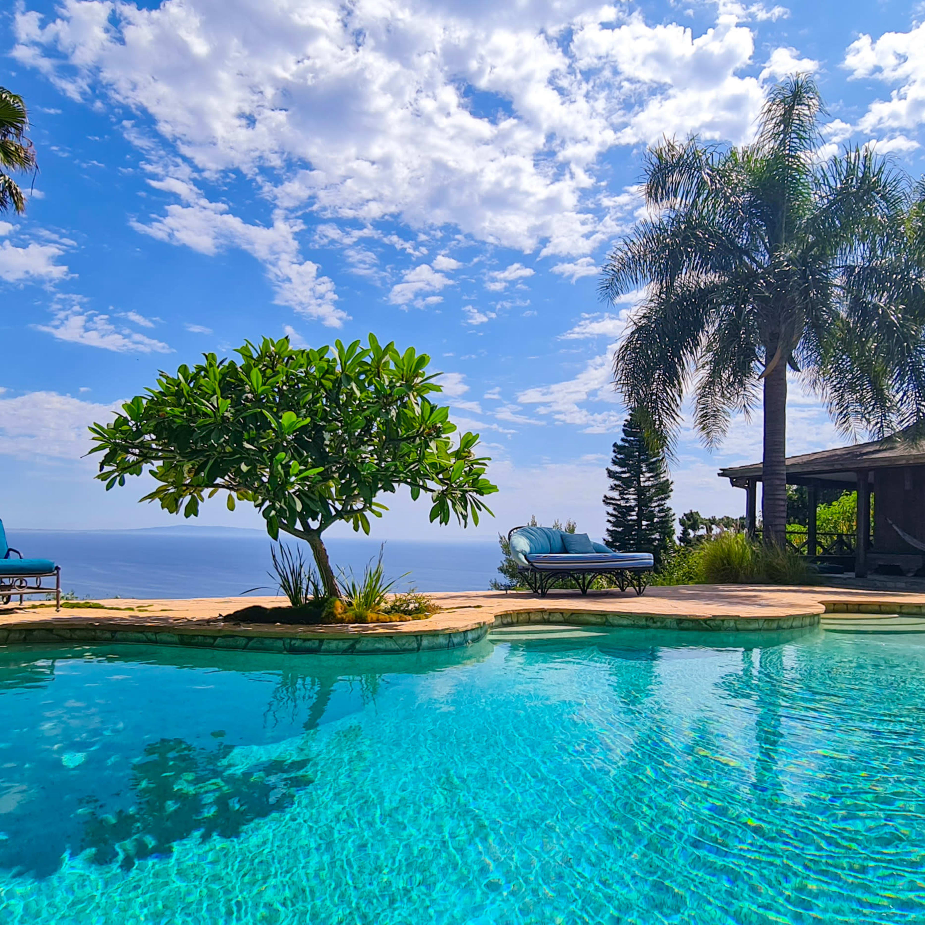 The scene features a clear swimming pool surrounded by palm trees and a tropical plant, with a lounge chair and a gazebo visible in the background.