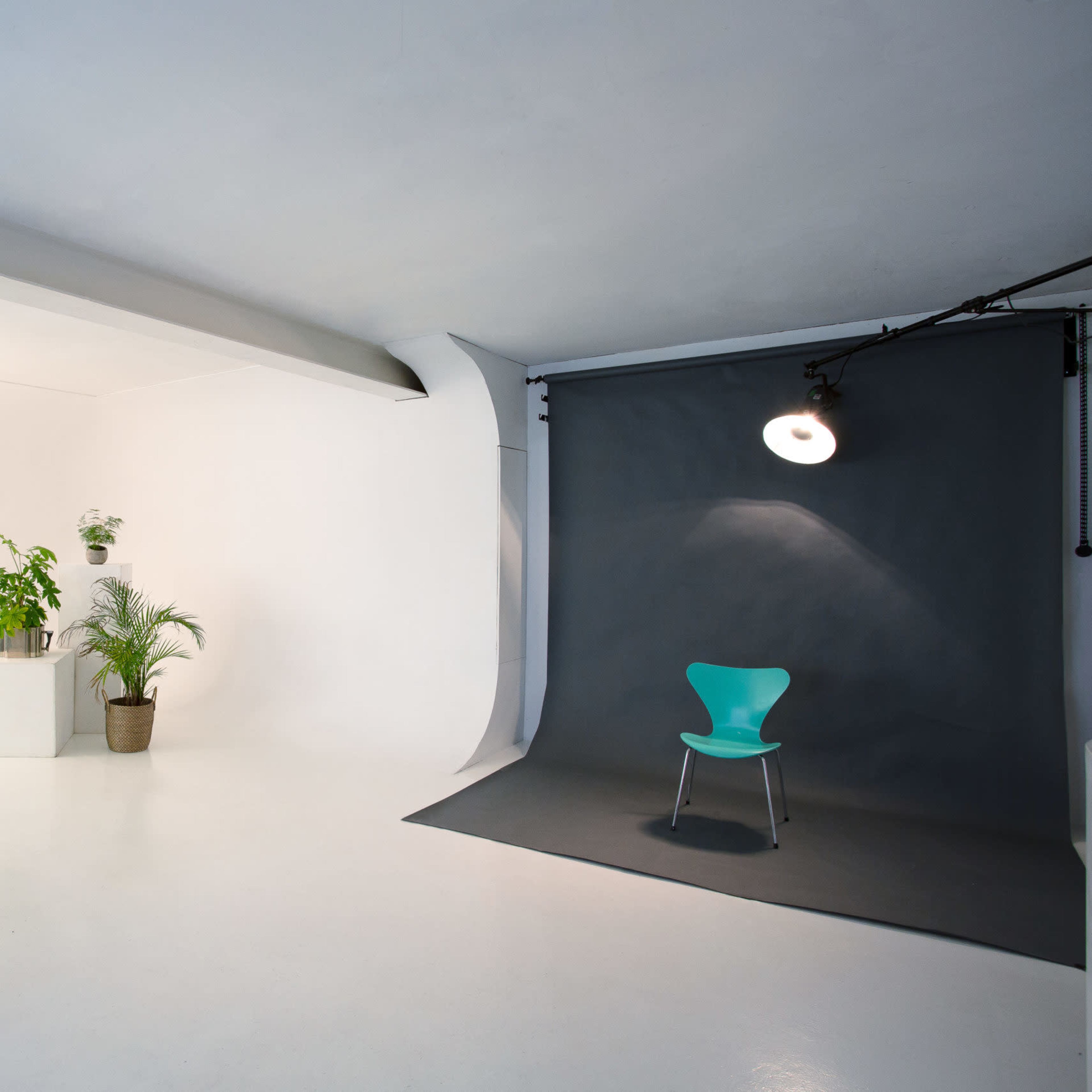 A photography studio features a gray backdrop, a teal chair, potted plants, and a large light source on a stand.