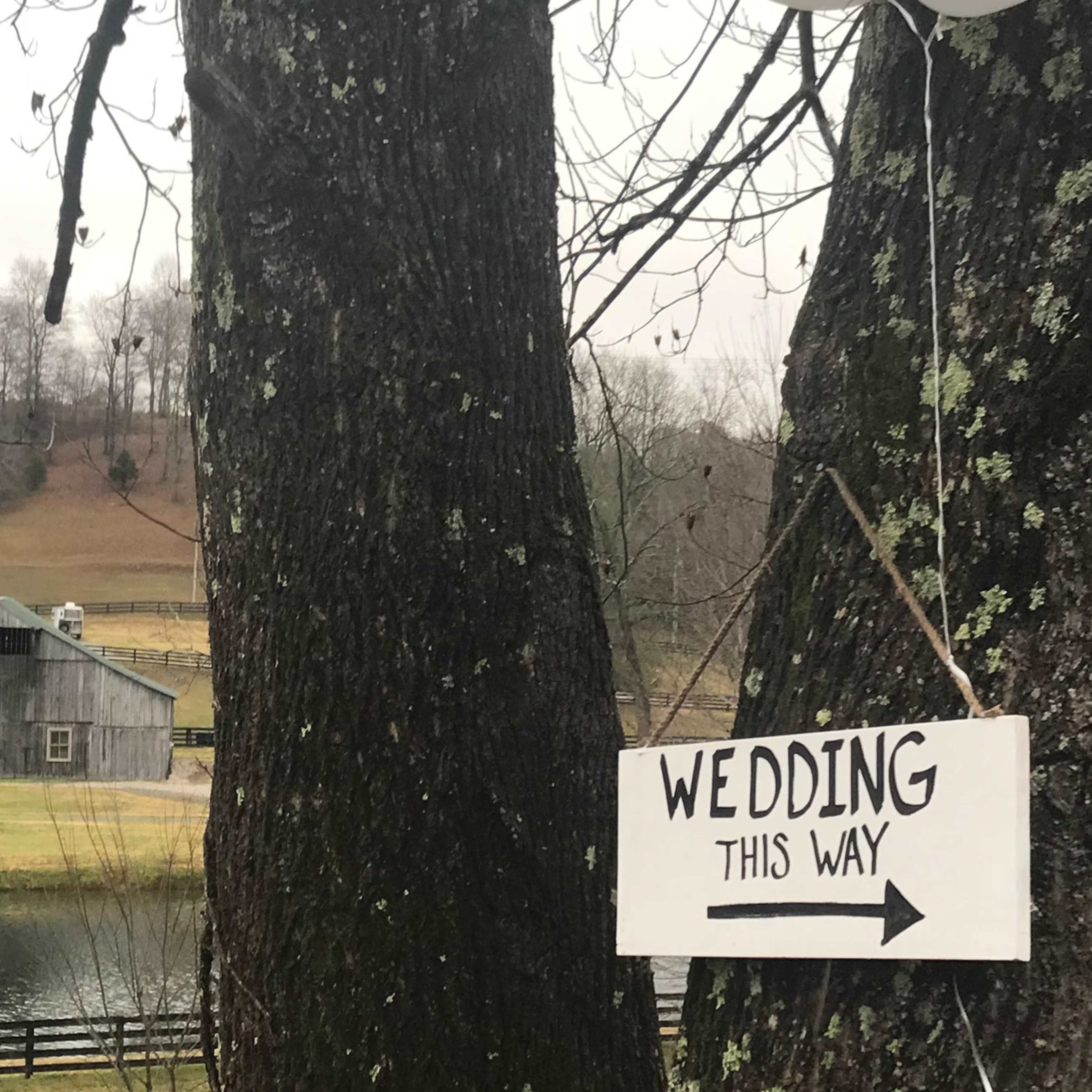 A sign indicating "Wedding This Way" hangs between two trees, pointing towards a barn in the background near a body of water.