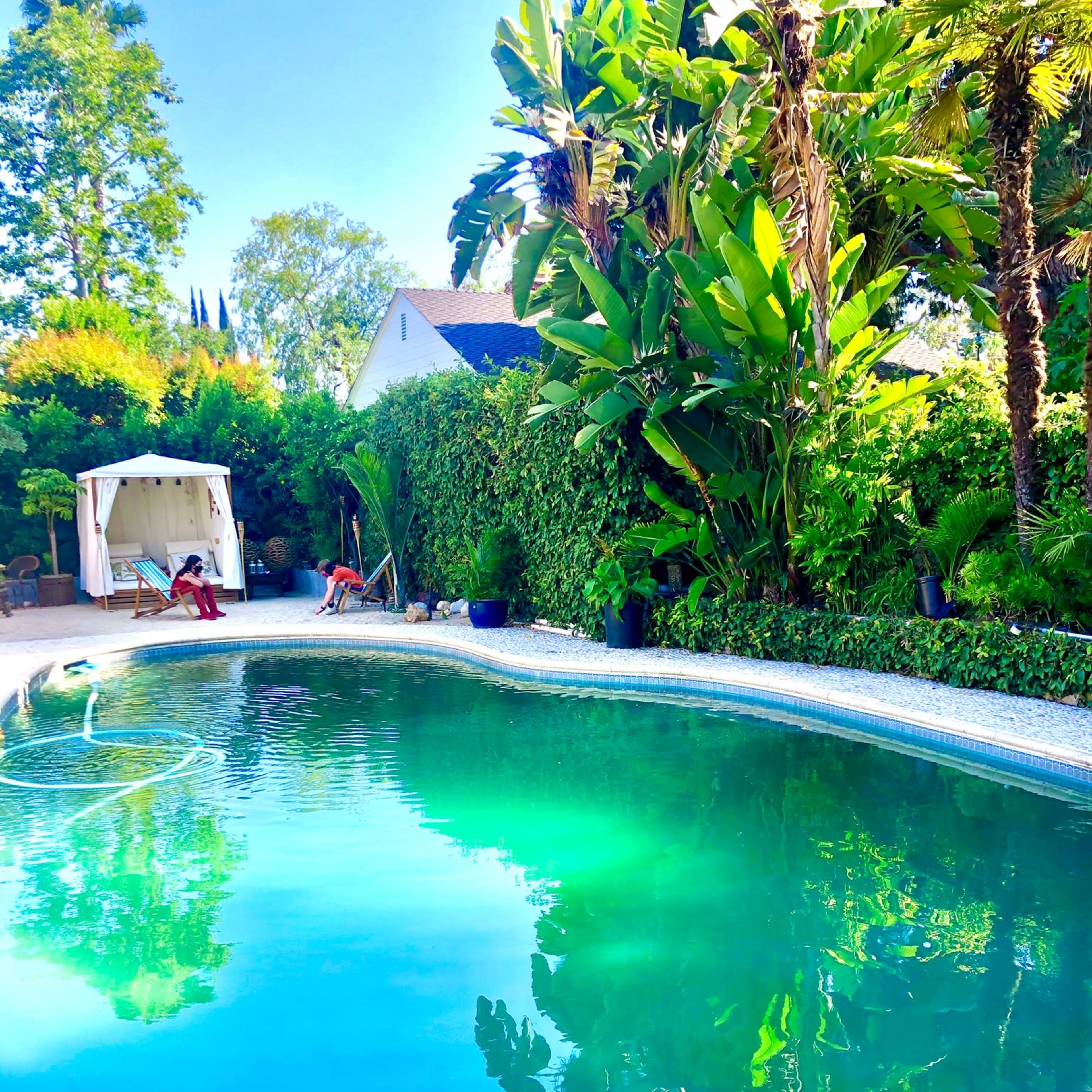 A tranquil swimming pool surrounded by lush greenery and a cabana in a sunlit garden.