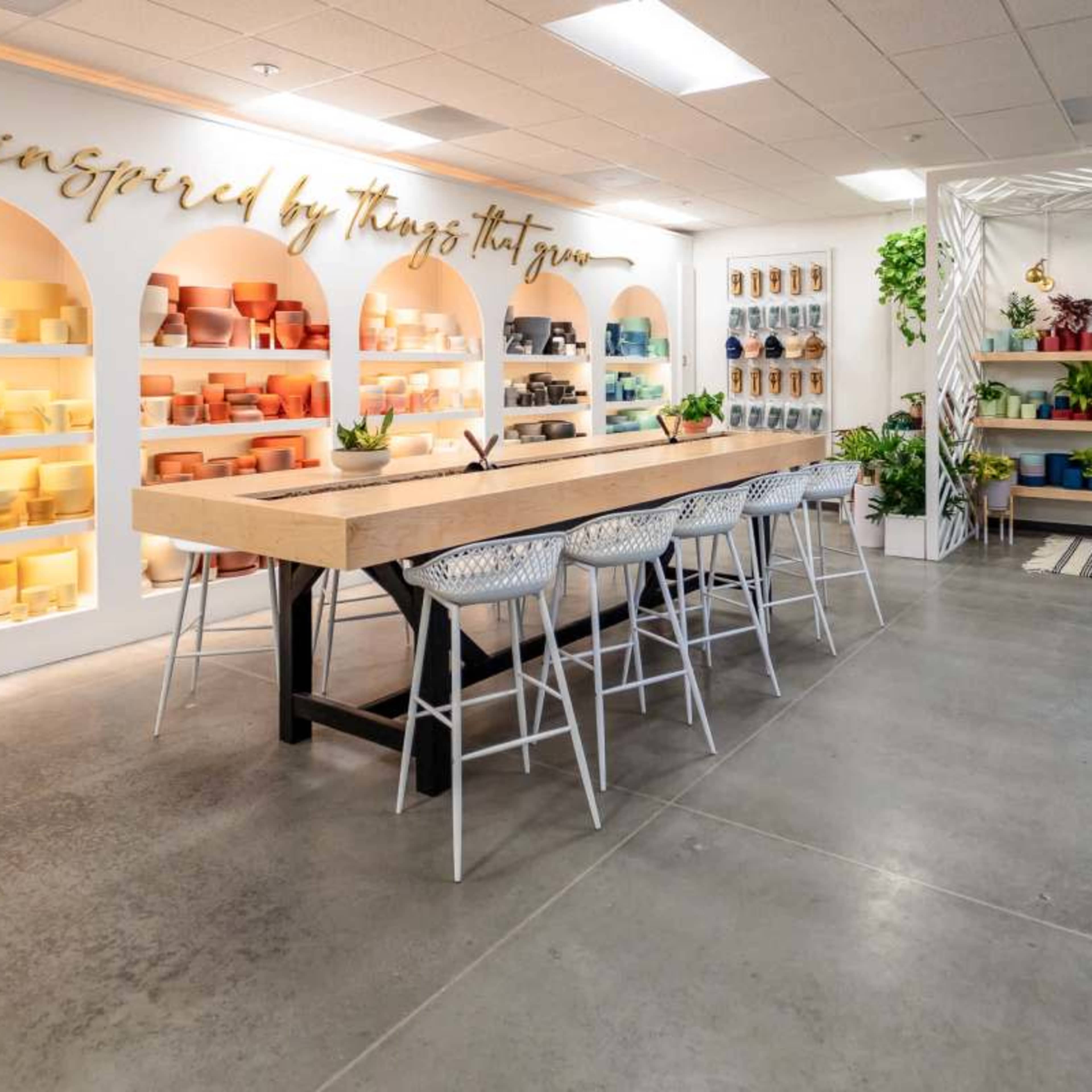 A bright indoor space with a long wooden table surrounded by white chairs, shelves filled with potted plants and colorful containers lining the walls.