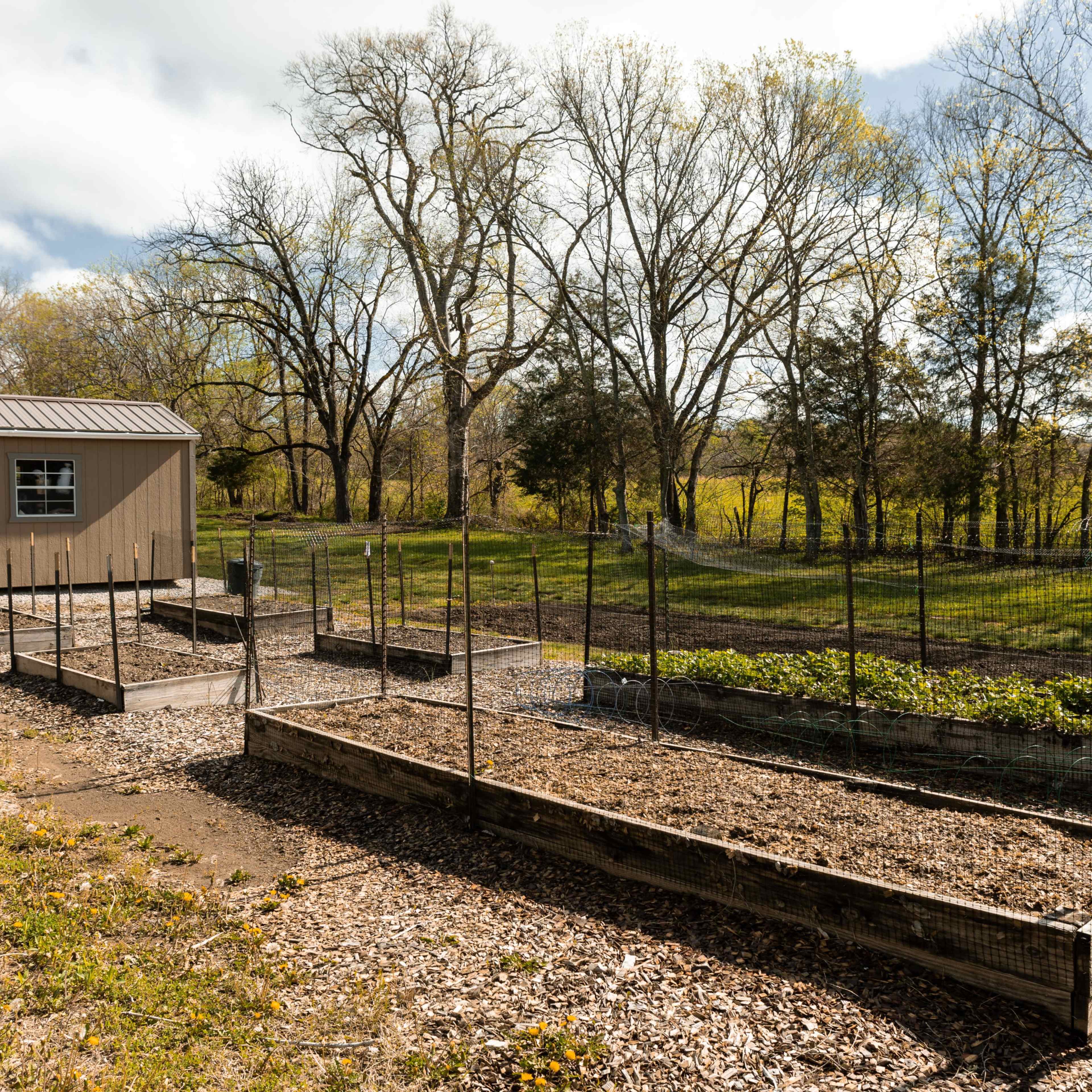 A garden with several raised wooden planting beds and a small storage shed, set against a backdrop of trees and a cloudy sky.