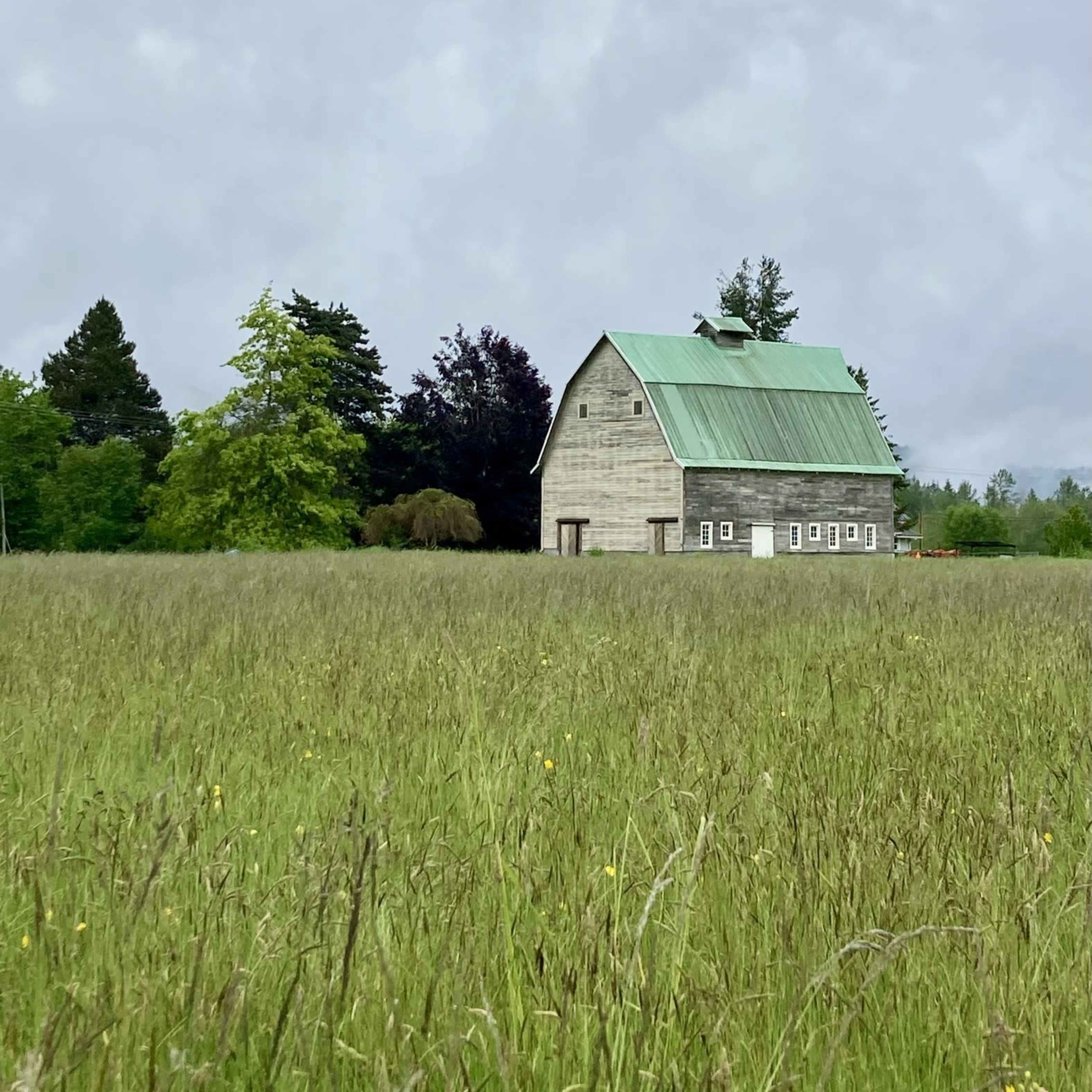 A weathered barn with a green metal roof stands alone in a grassy field surrounded by trees under a cloudy sky.