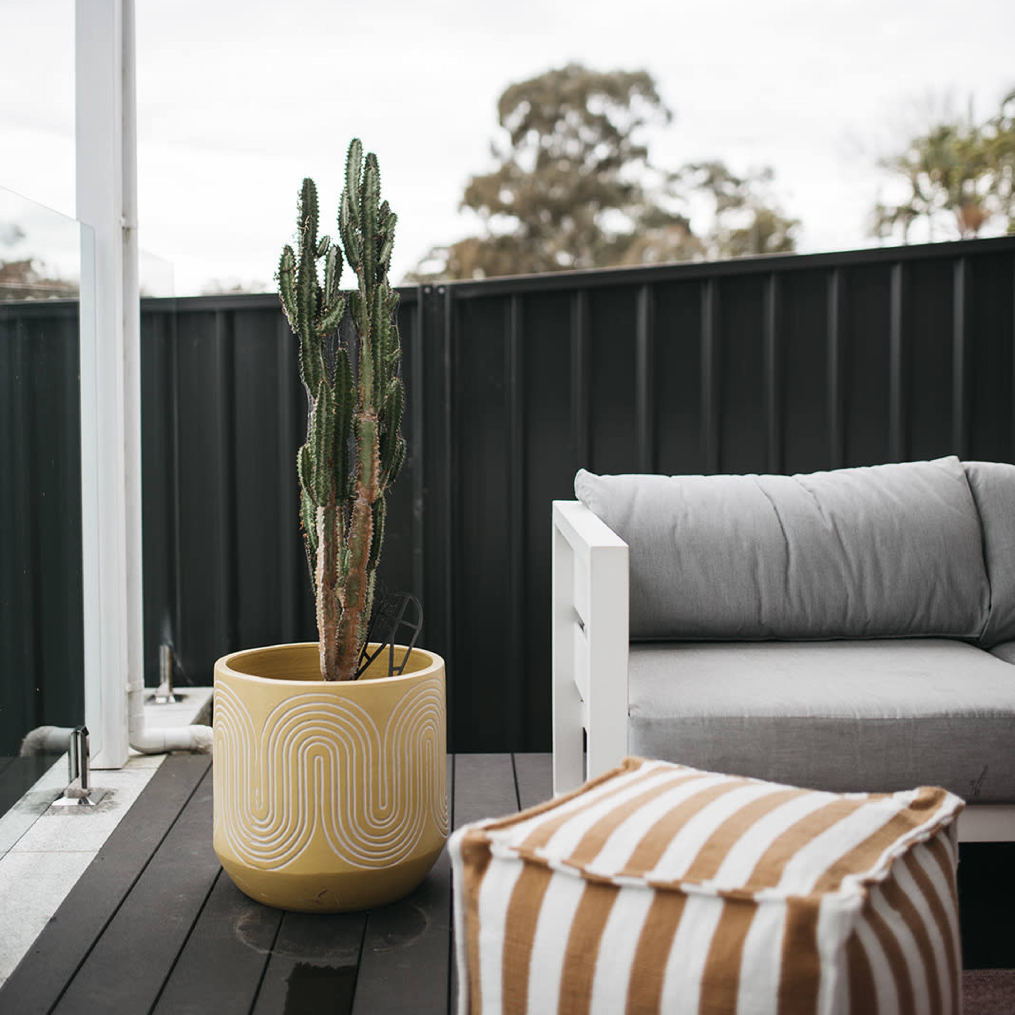 A tall cactus in a patterned yellow pot stands next to a gray outdoor couch on a covered patio.