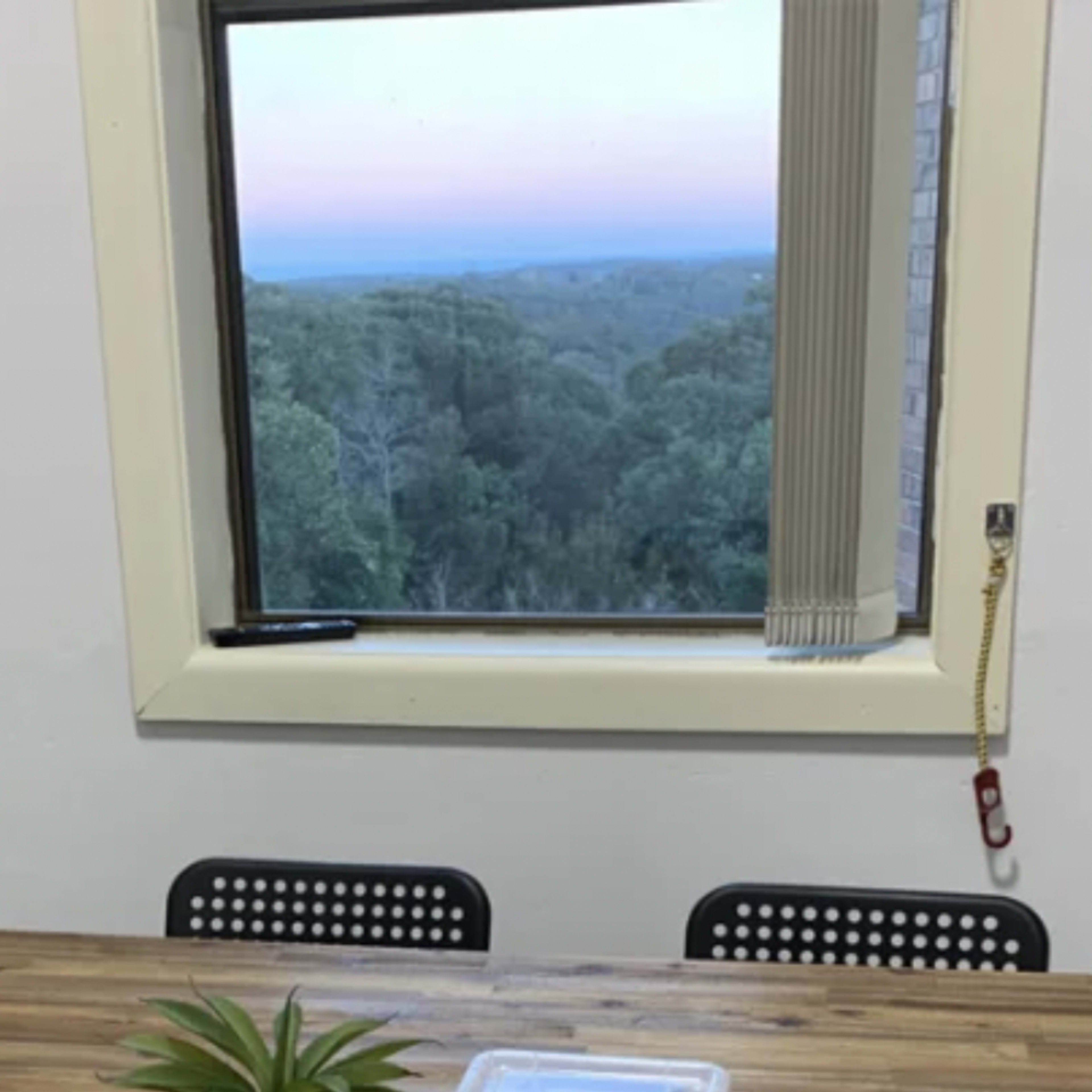 A table is set near a window with a view of trees and a plant beside it.