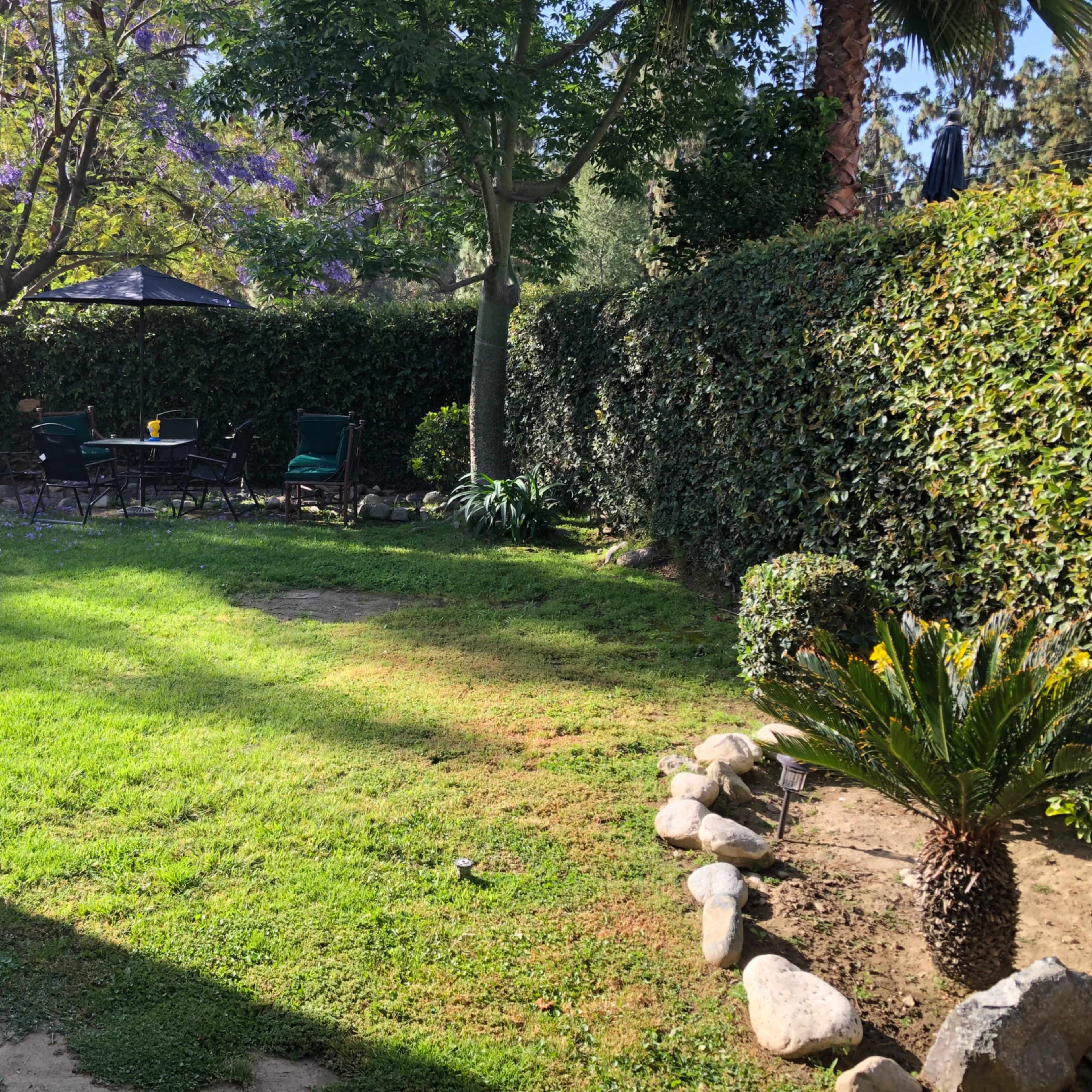 A grassy garden bordered by a neatly trimmed hedge, featuring a table and chairs under a gazebo.