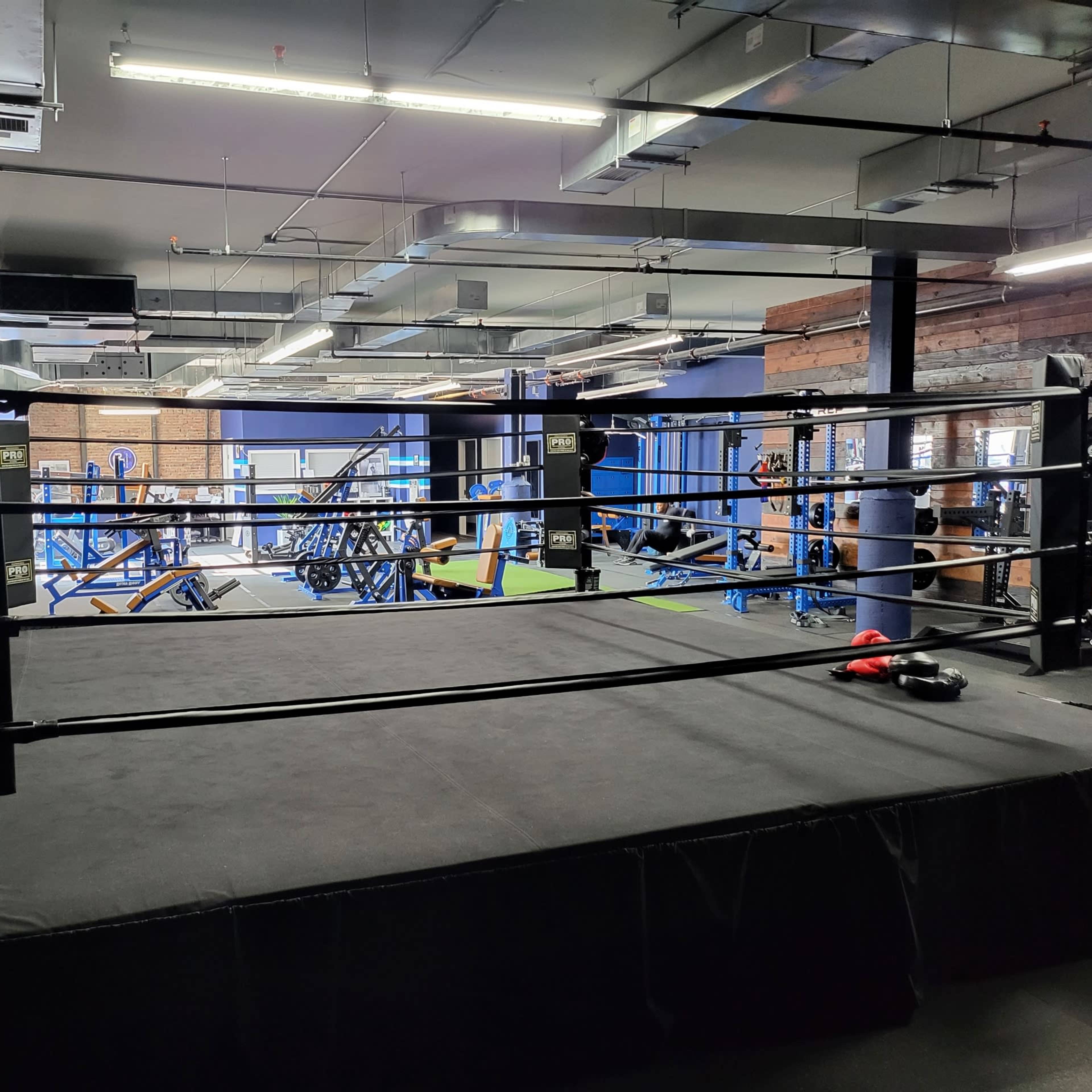 A boxing ring located in a gym, with various exercise equipment visible in the background.