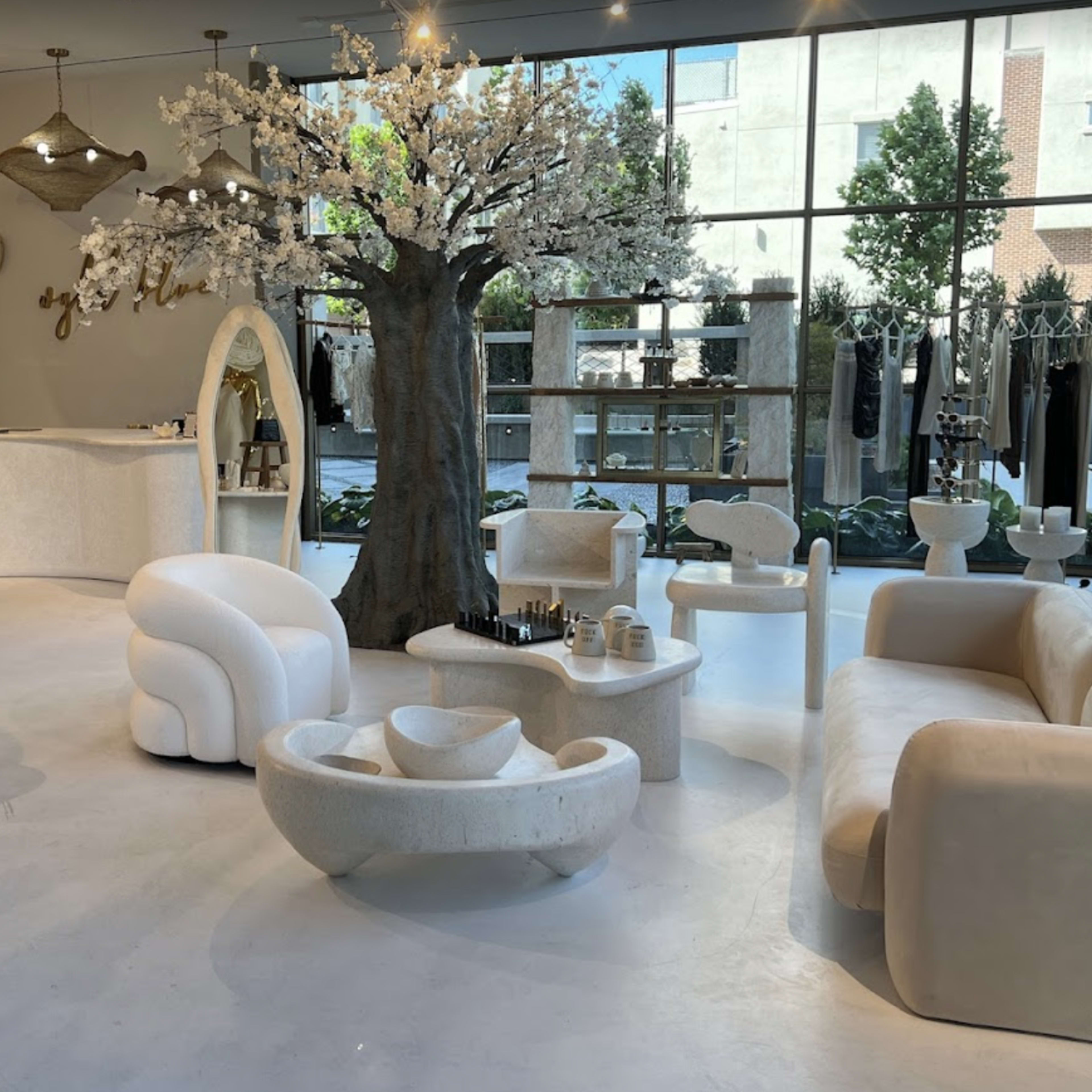 Luxury Dallas Boutique Image in Oak Lawn, Dallas, TX