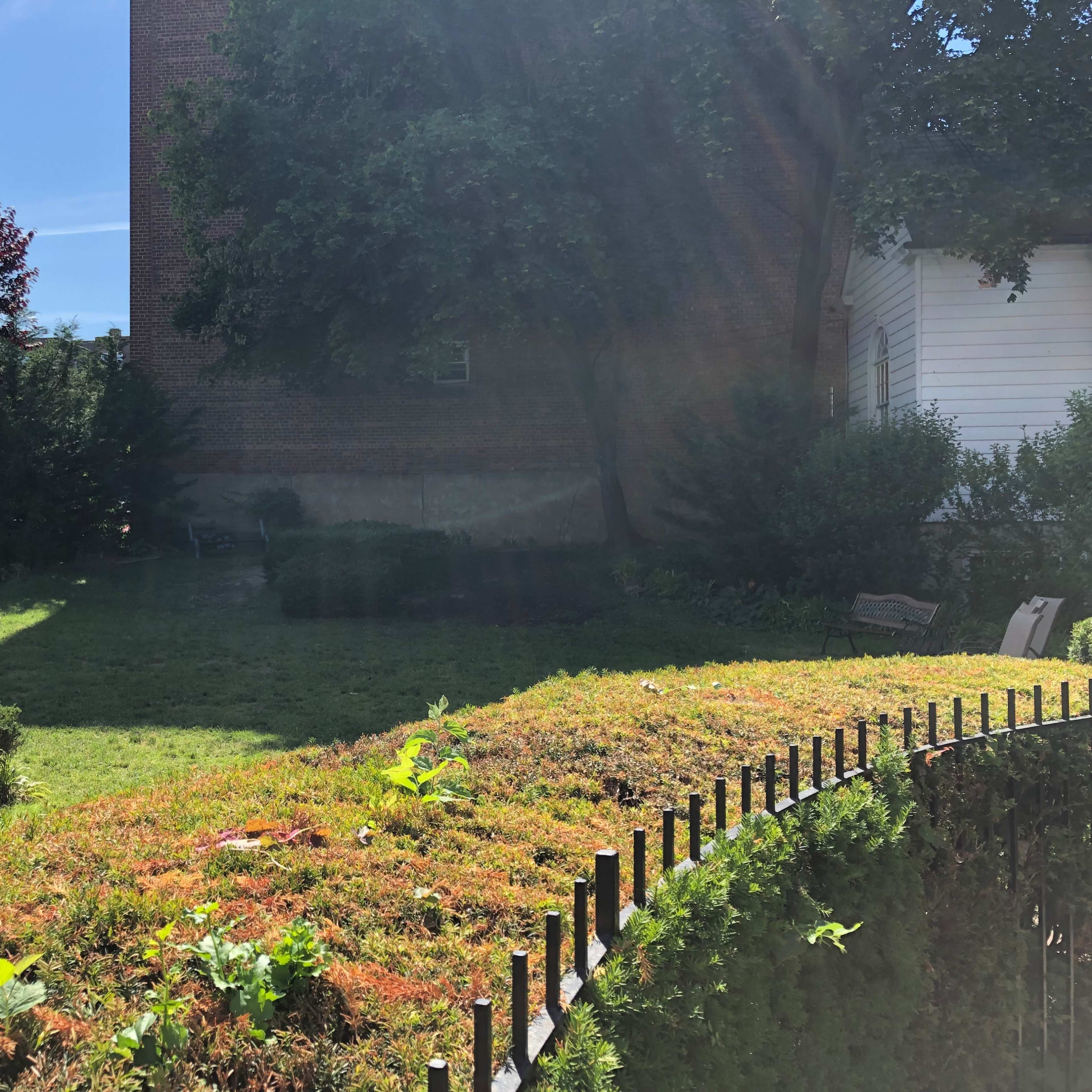 A grassy area with scattered plants and a few trees is situated beside a brick building.