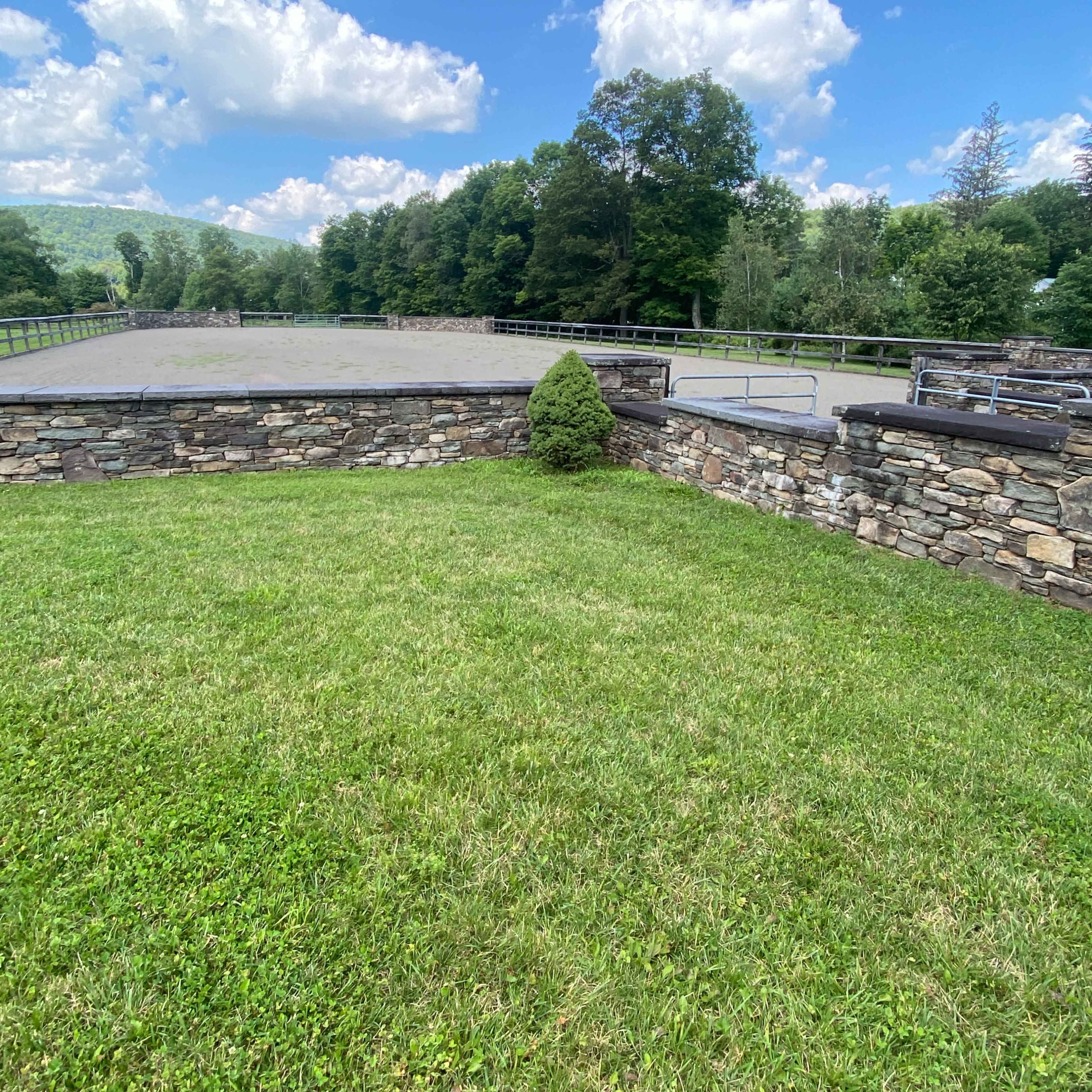A grassy area with a stone wall and a paved surface in the background, under a blue sky filled with fluffy clouds.