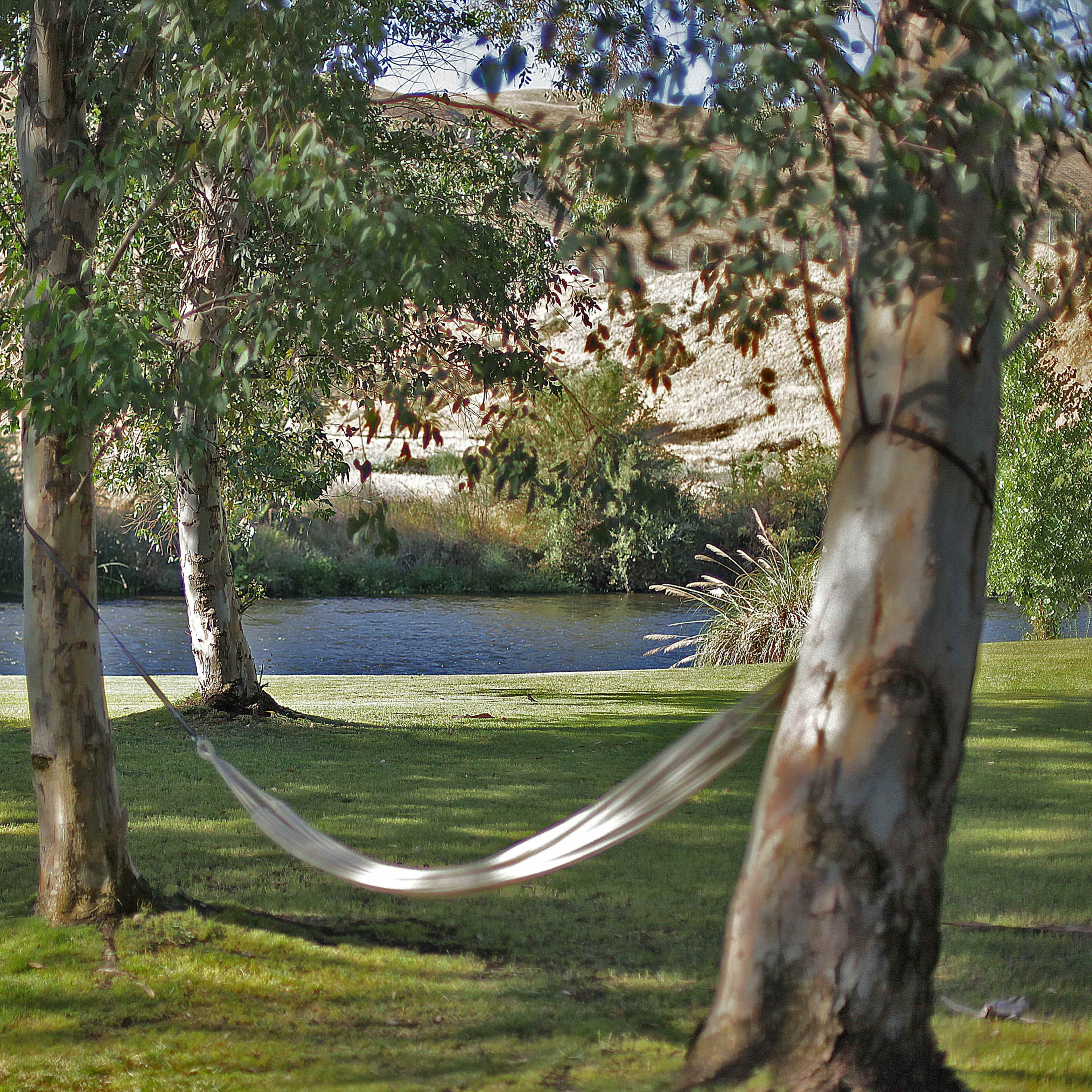 A hammock is suspended between two trees near a tranquil pond surrounded by greenery.