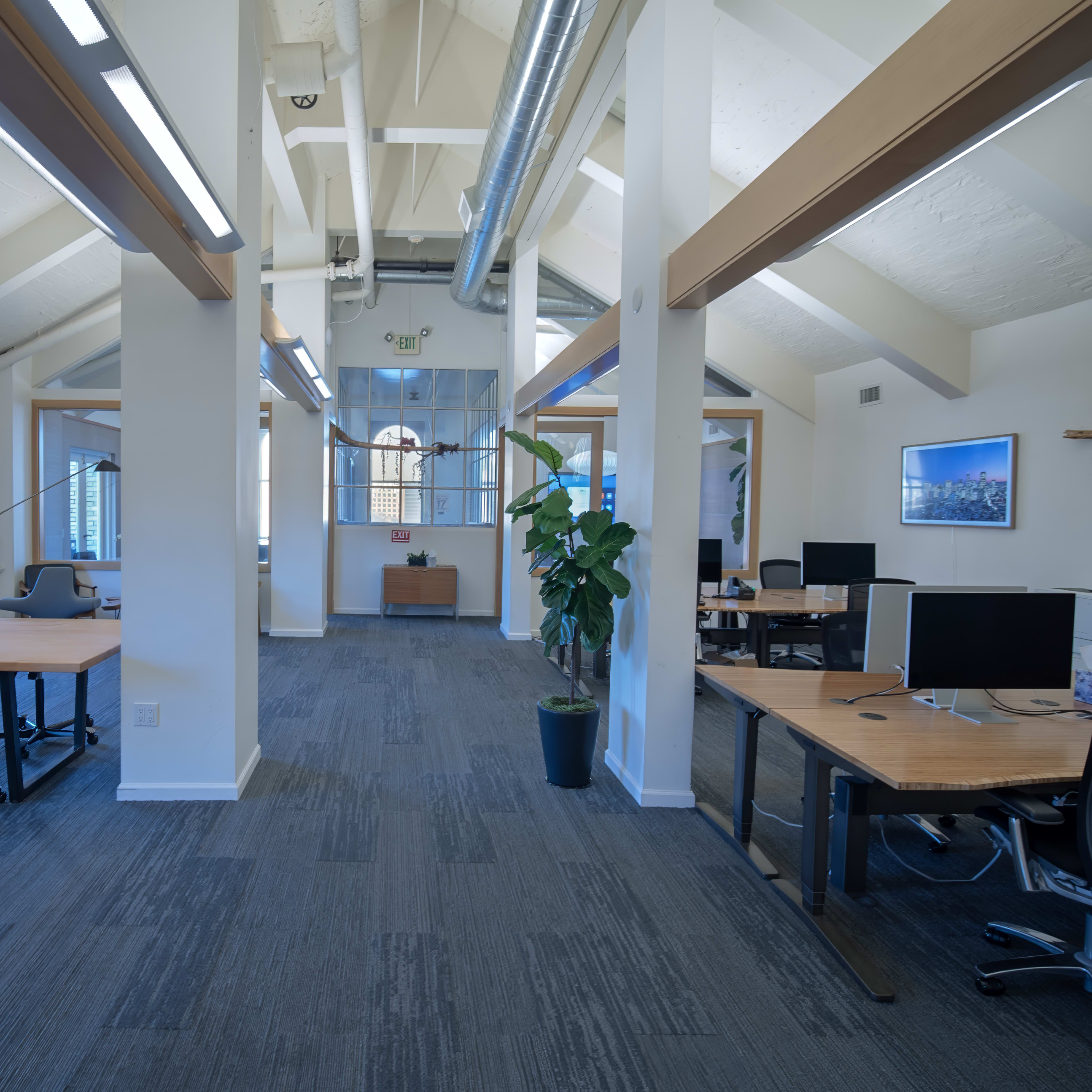 A modern office space with several workstations, a potted plant, and large windows providing natural light.
