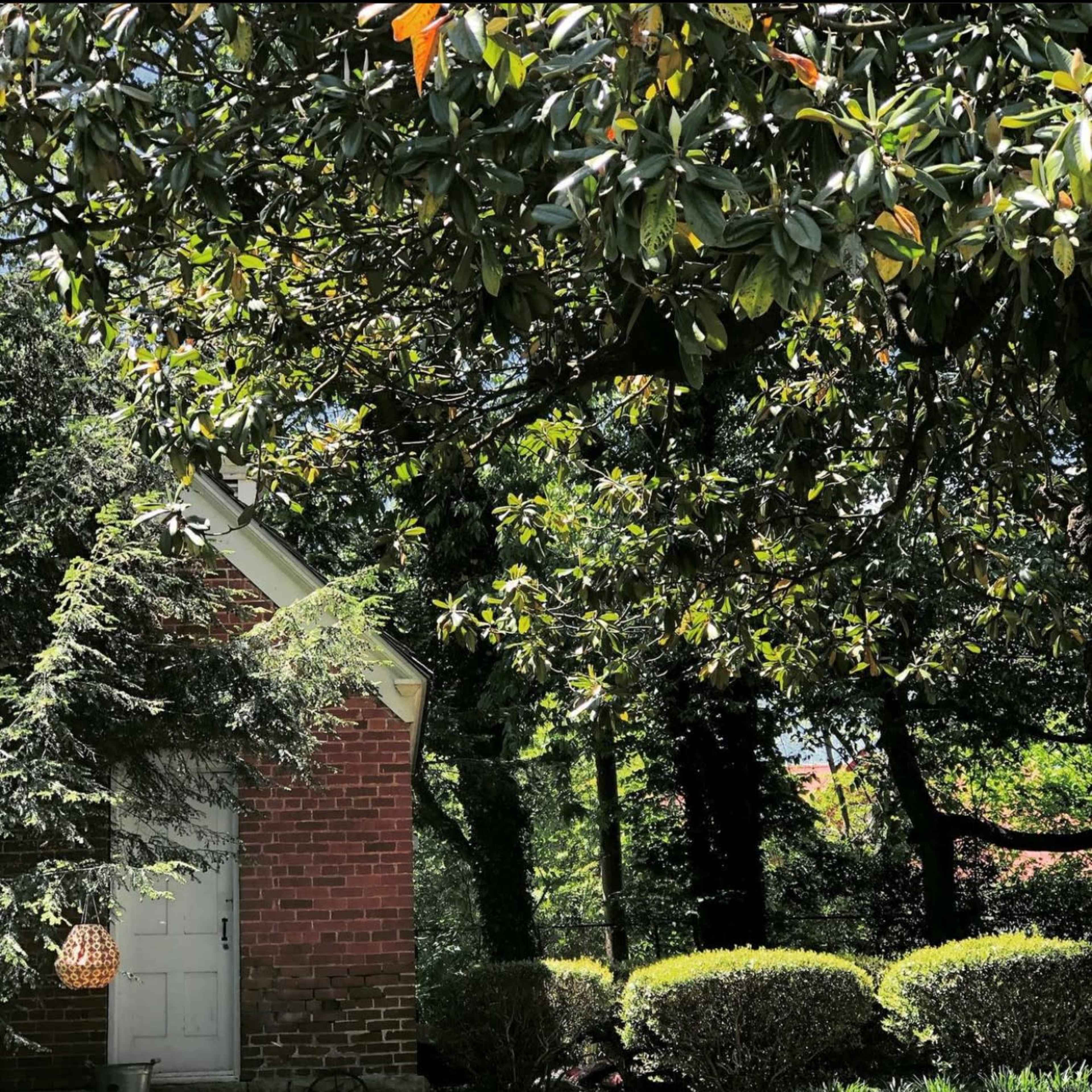 A brick building with a white door is surrounded by thick greenery and well-trimmed hedges under a canopy of trees.