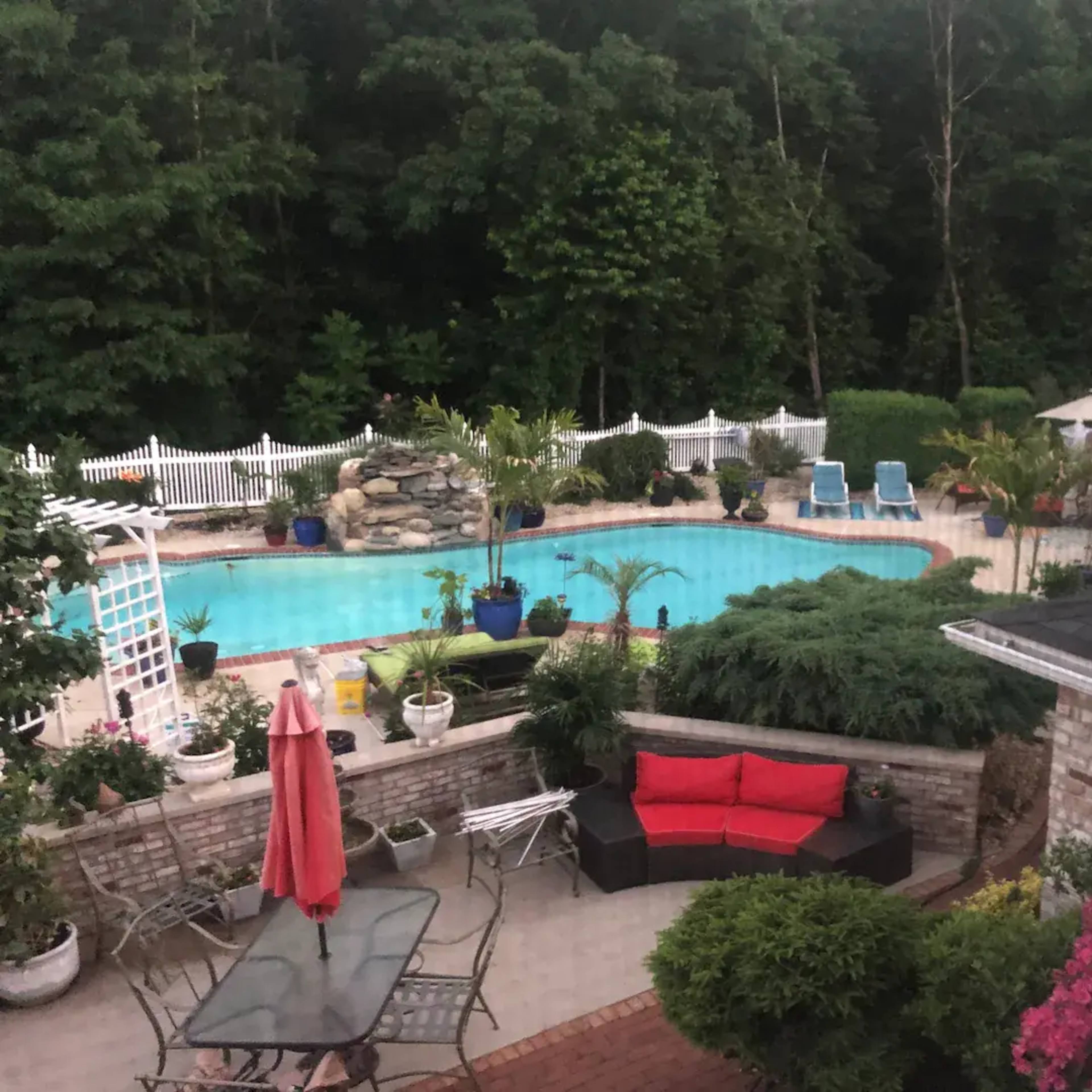 A backyard with a swimming pool surrounded by greenery, patio furniture, and decorative plants.