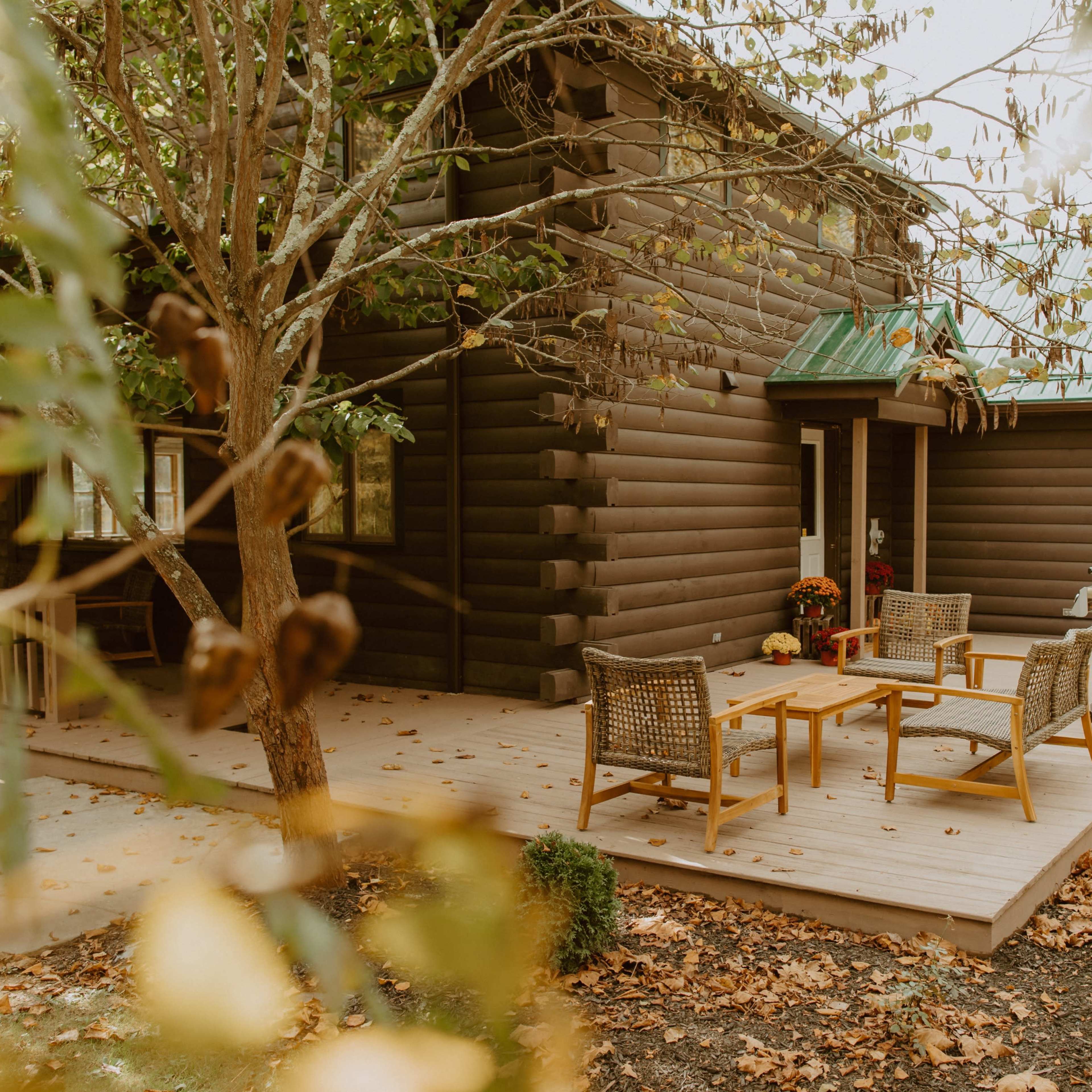 A wooden cabin features a patio with seating and a grill, surrounded by autumn leaves.