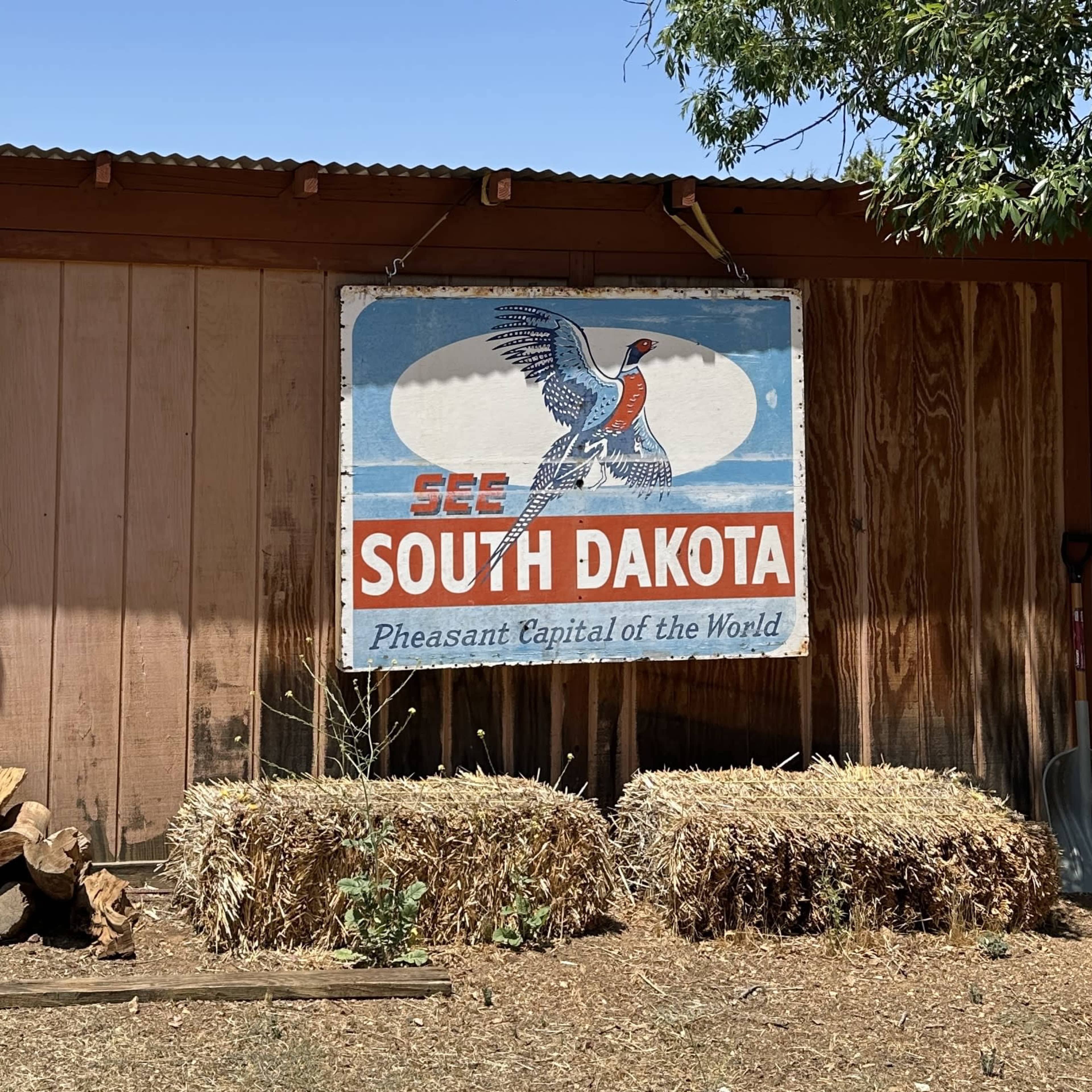 Desert Getaway for your photo shoots, hub, office space, basecamp, art studio Image in Agua Dulce, Agua Dulce, CA