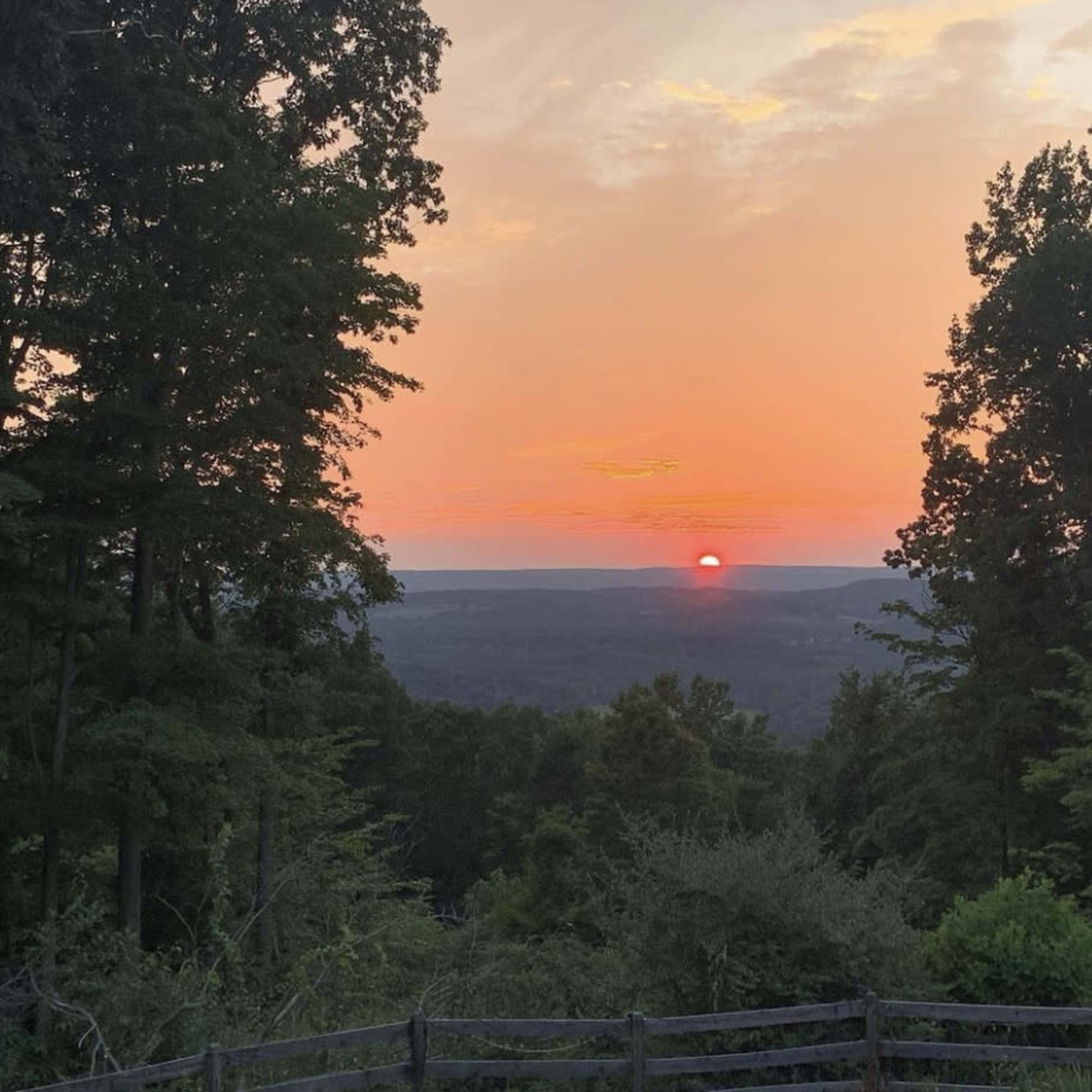 The sun sets over a mountainous landscape, framed by trees in the foreground.