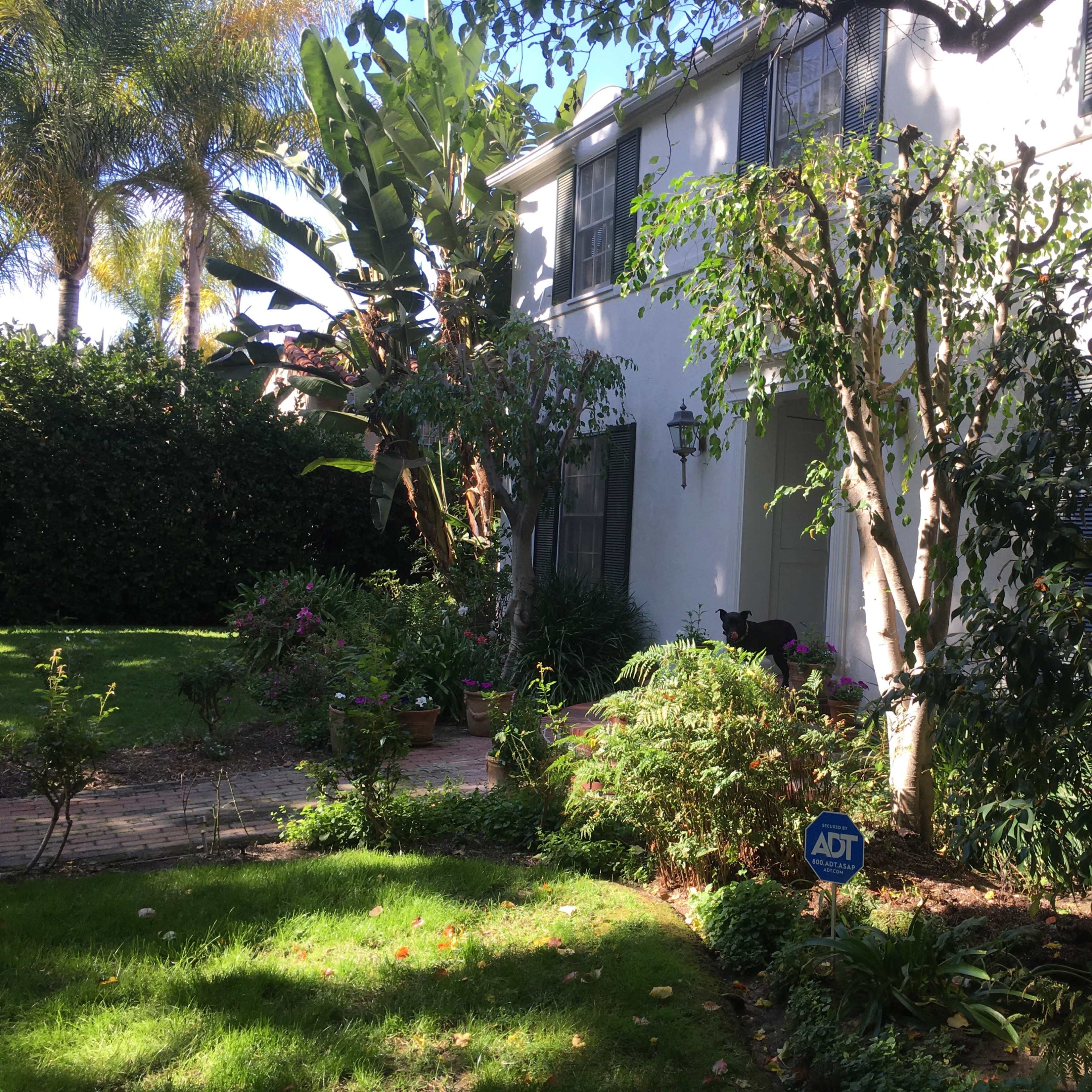 A suburban house with a manicured garden featuring various plants, trees, and a security sign in the foreground.