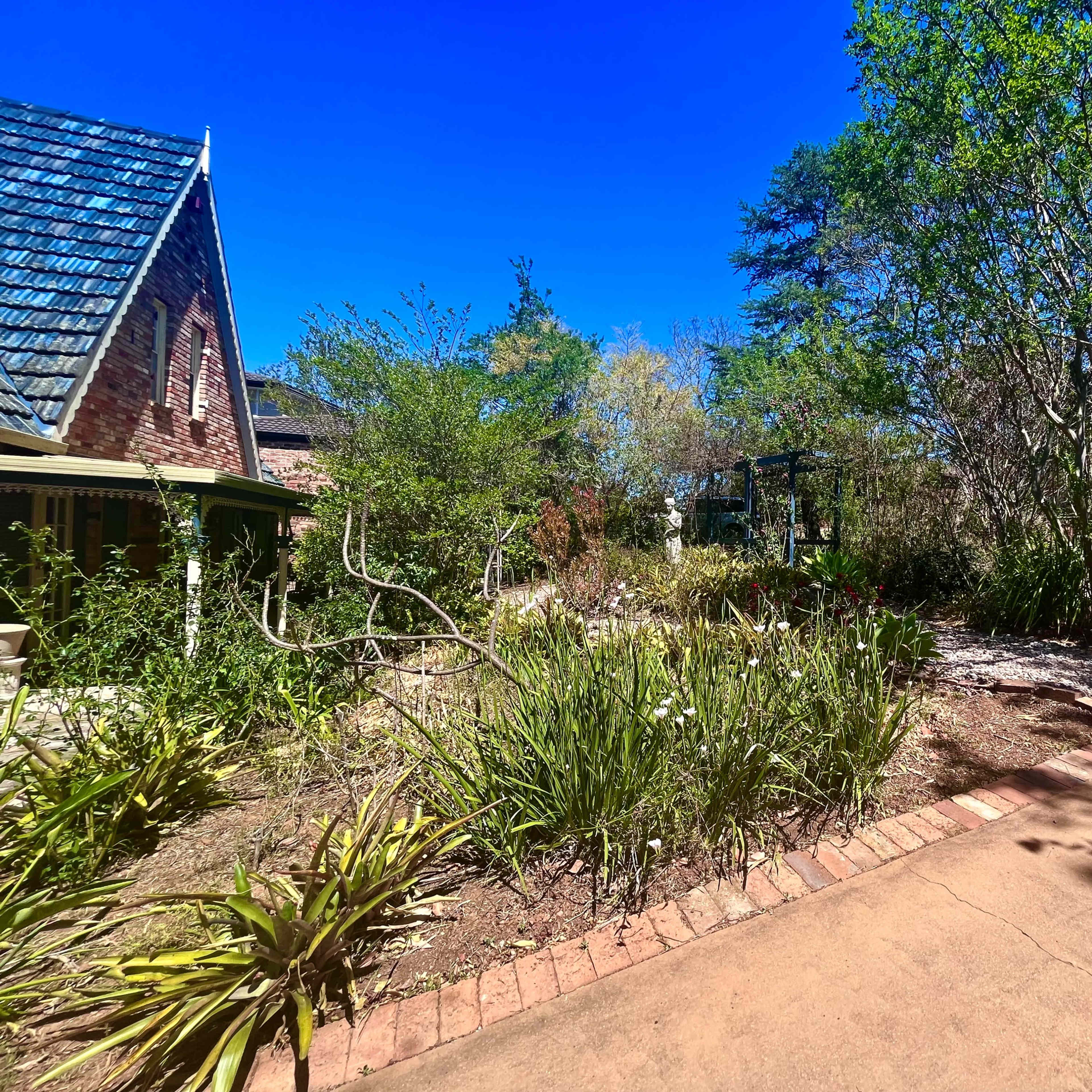A pathway leads through a garden with various plants and trees next to a brick surface.