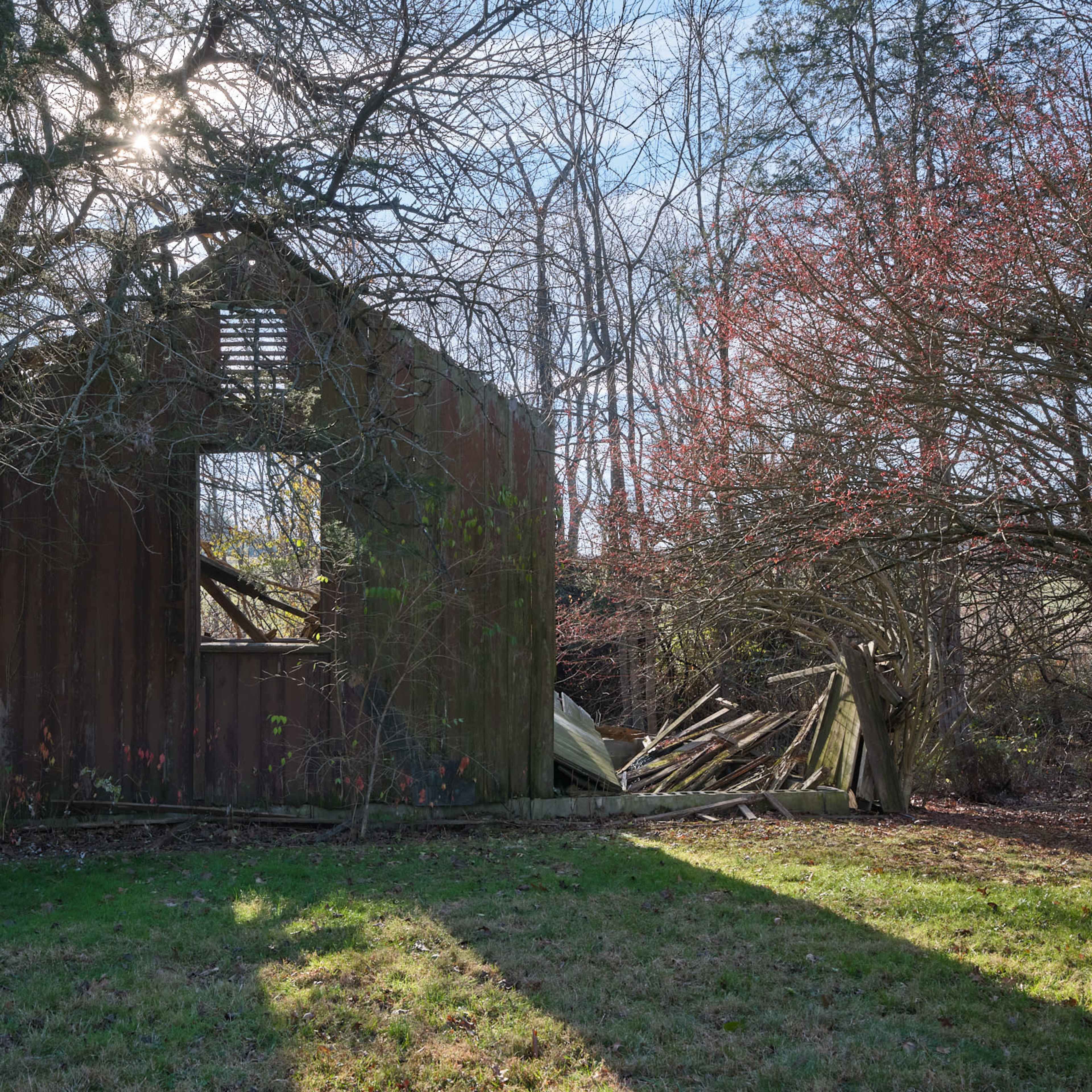 A partially collapsed wooden structure stands among bare trees and overgrown vegetation.