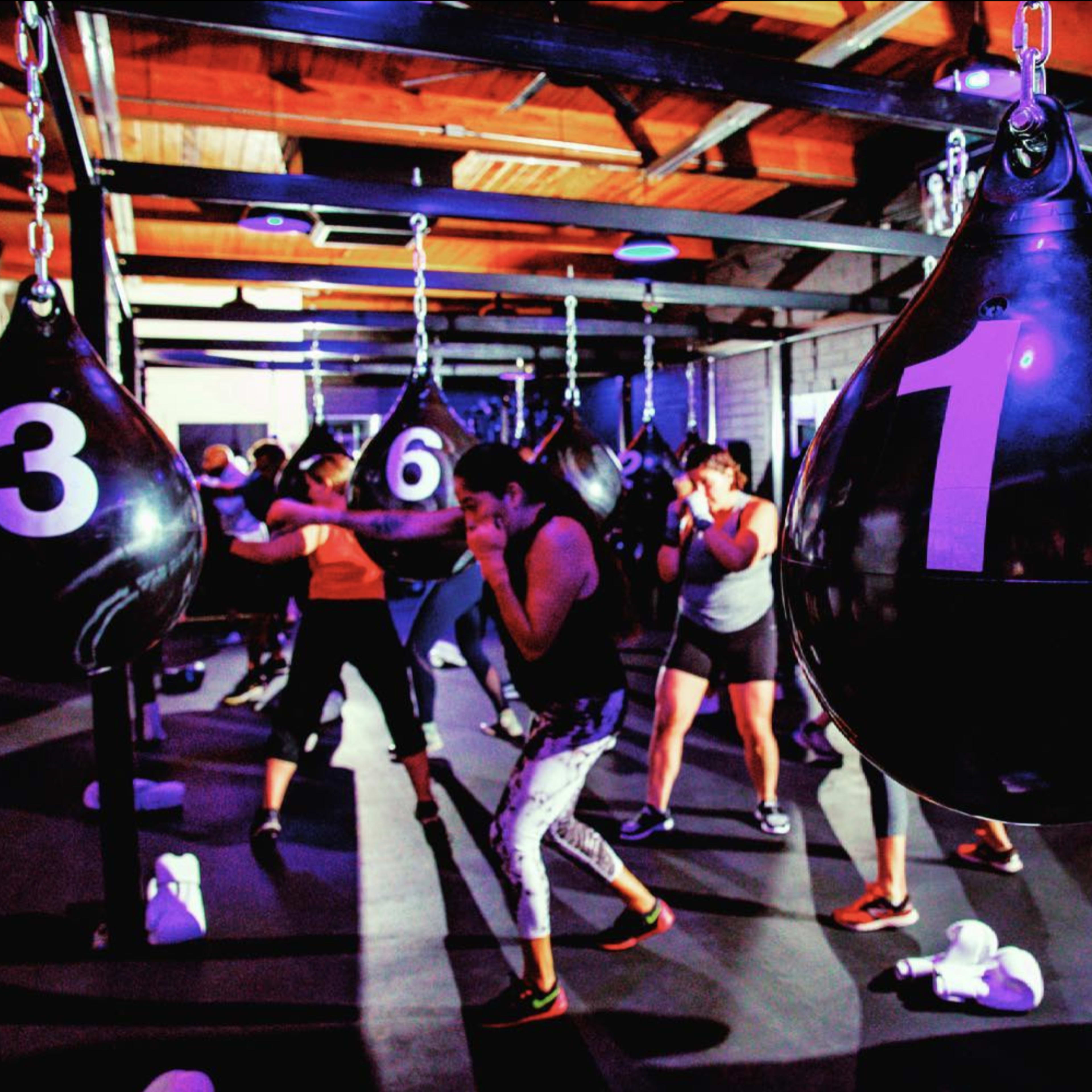 A group of individuals engages in a boxing workout in a gym, surrounded by hanging punching bags numbered one through six.