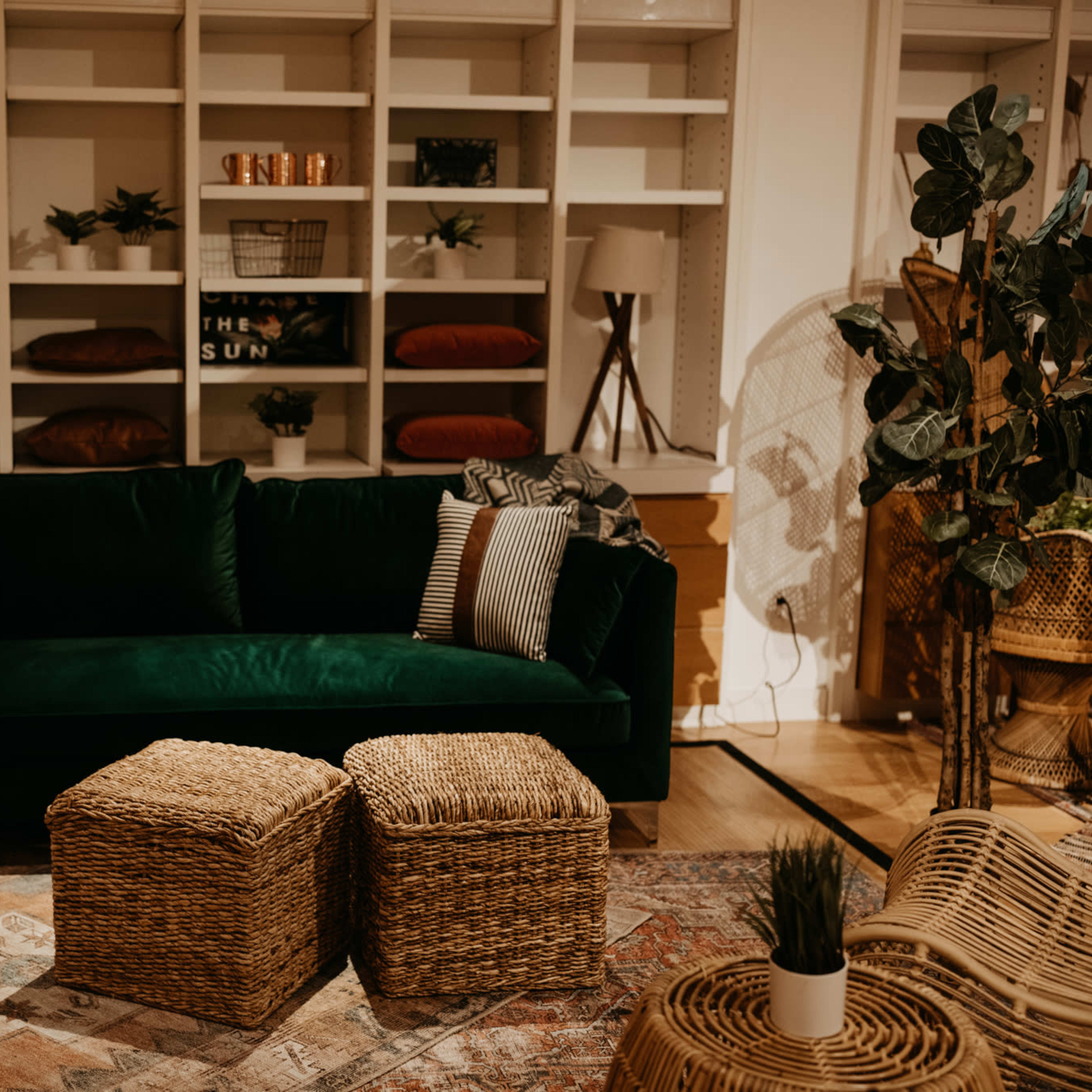 A cozy living room setup featuring a green velvet sofa, two wicker ottomans, and various plants arranged around a bookshelf.