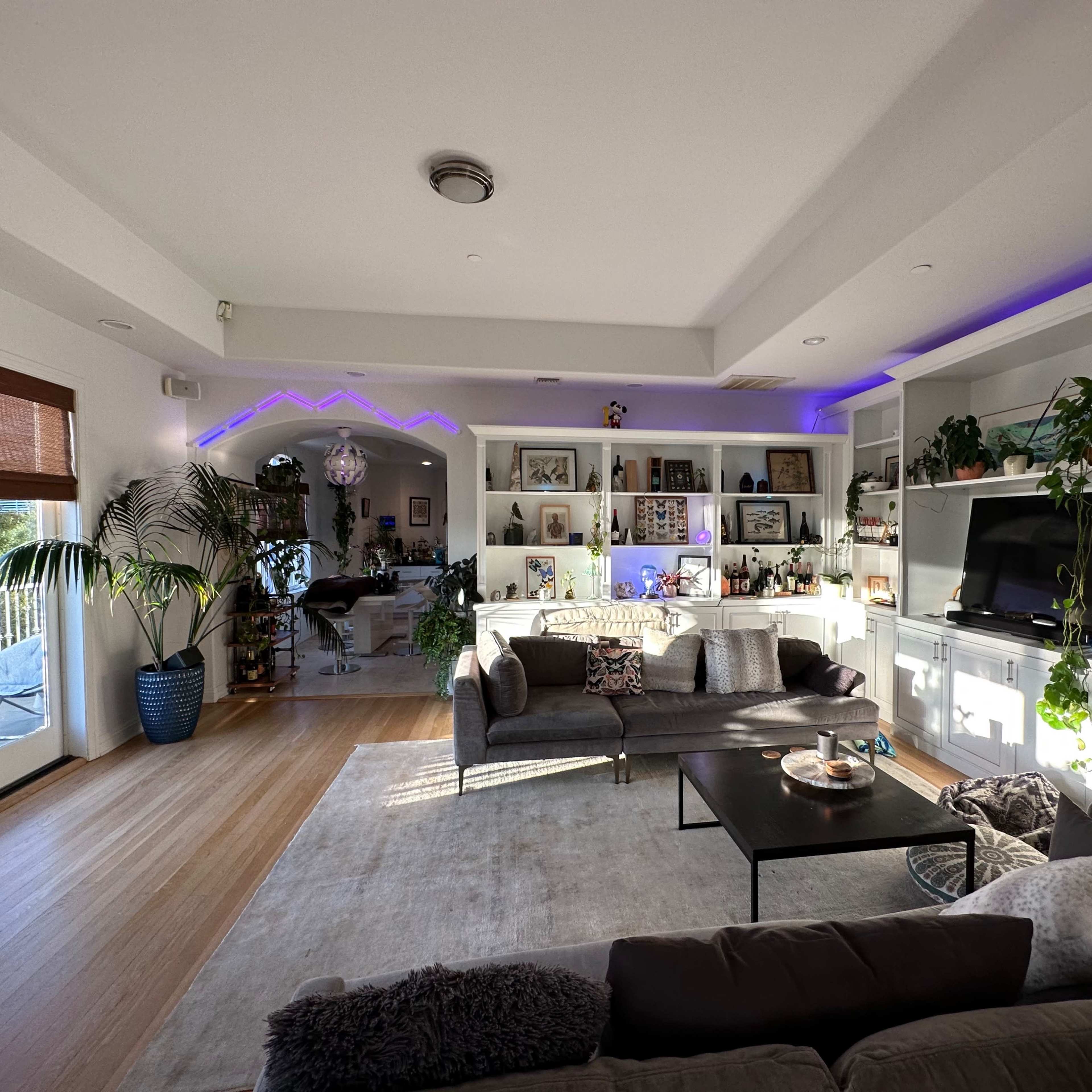 A modern living room with a gray sofa, a black coffee table, and shelves filled with decor items, enhanced by purple LED lighting.