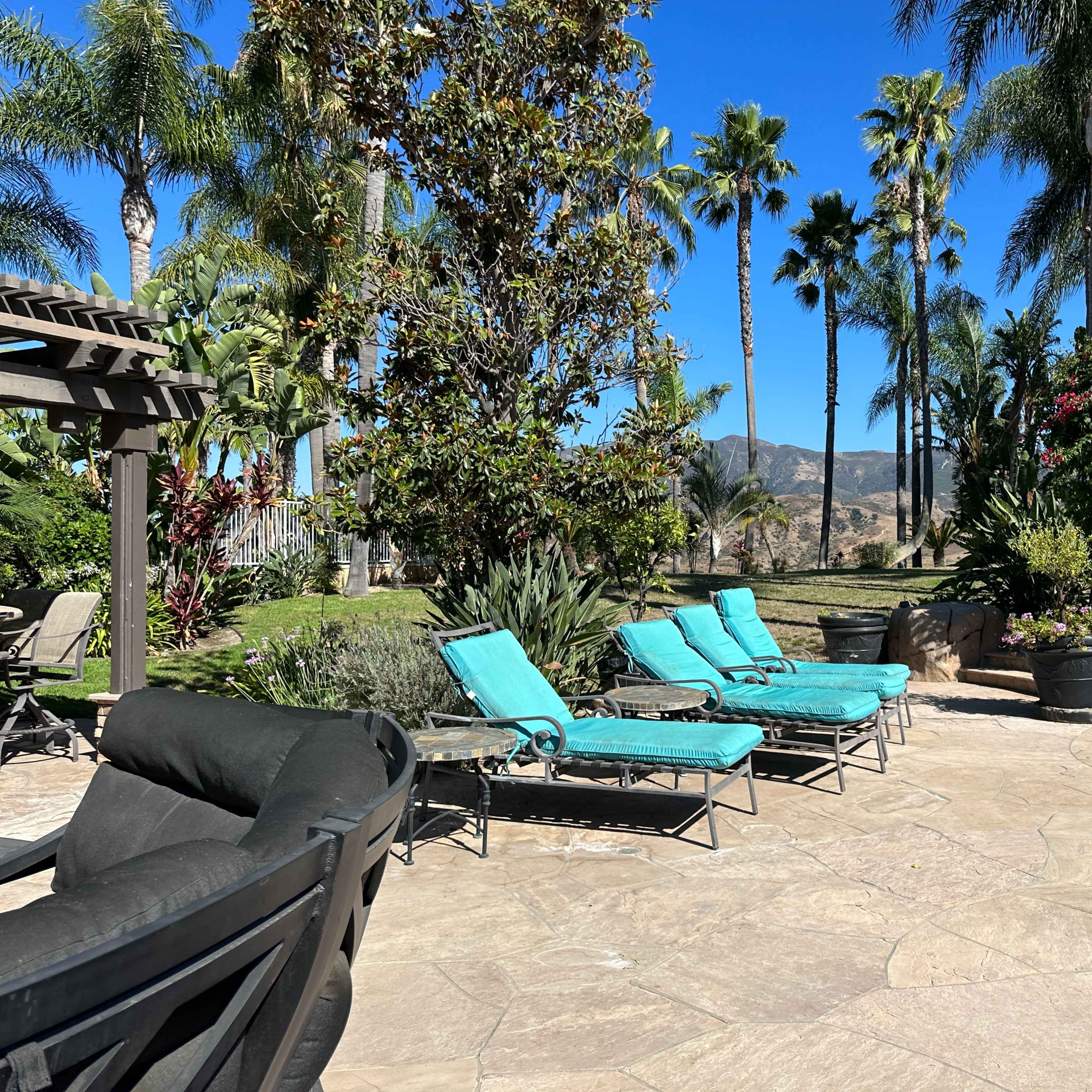 The scene features a backyard with a swimming pool surrounded by lounge chairs and tall palm trees against a clear blue sky.