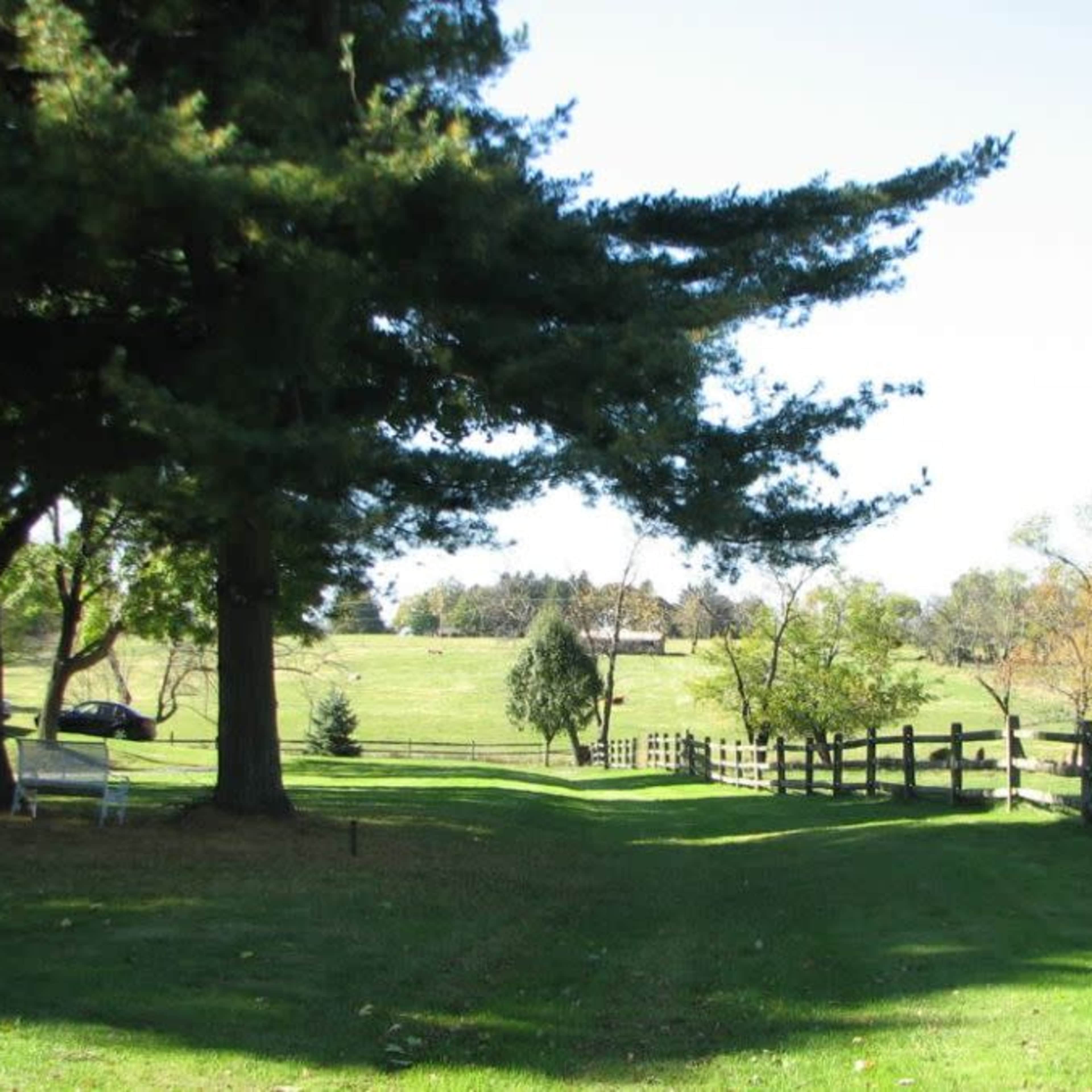 A grassy path lined with trees and a wooden fence leads toward an open field.