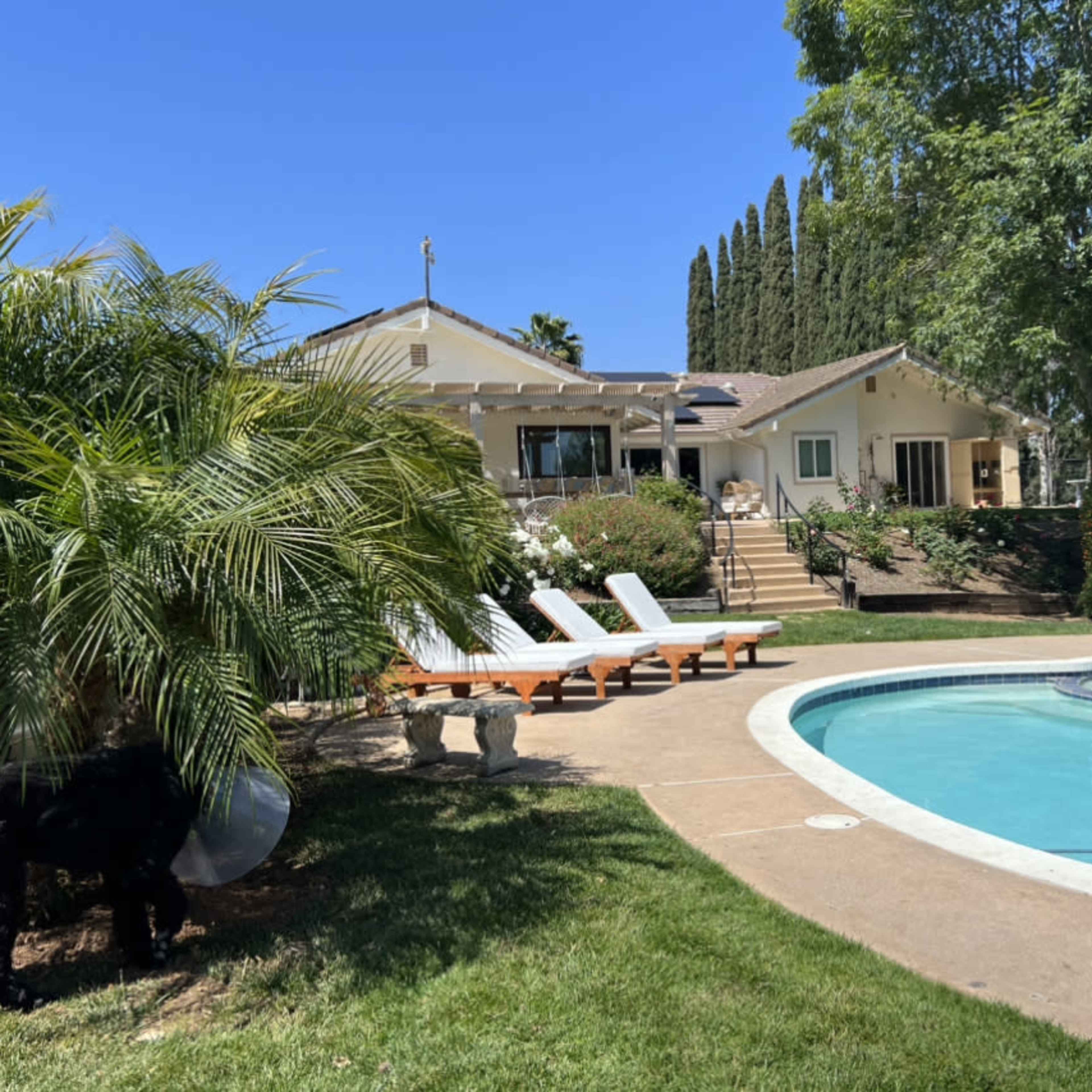 A house with a swimming pool is surrounded by palm trees and lounge chairs, set against a clear blue sky.