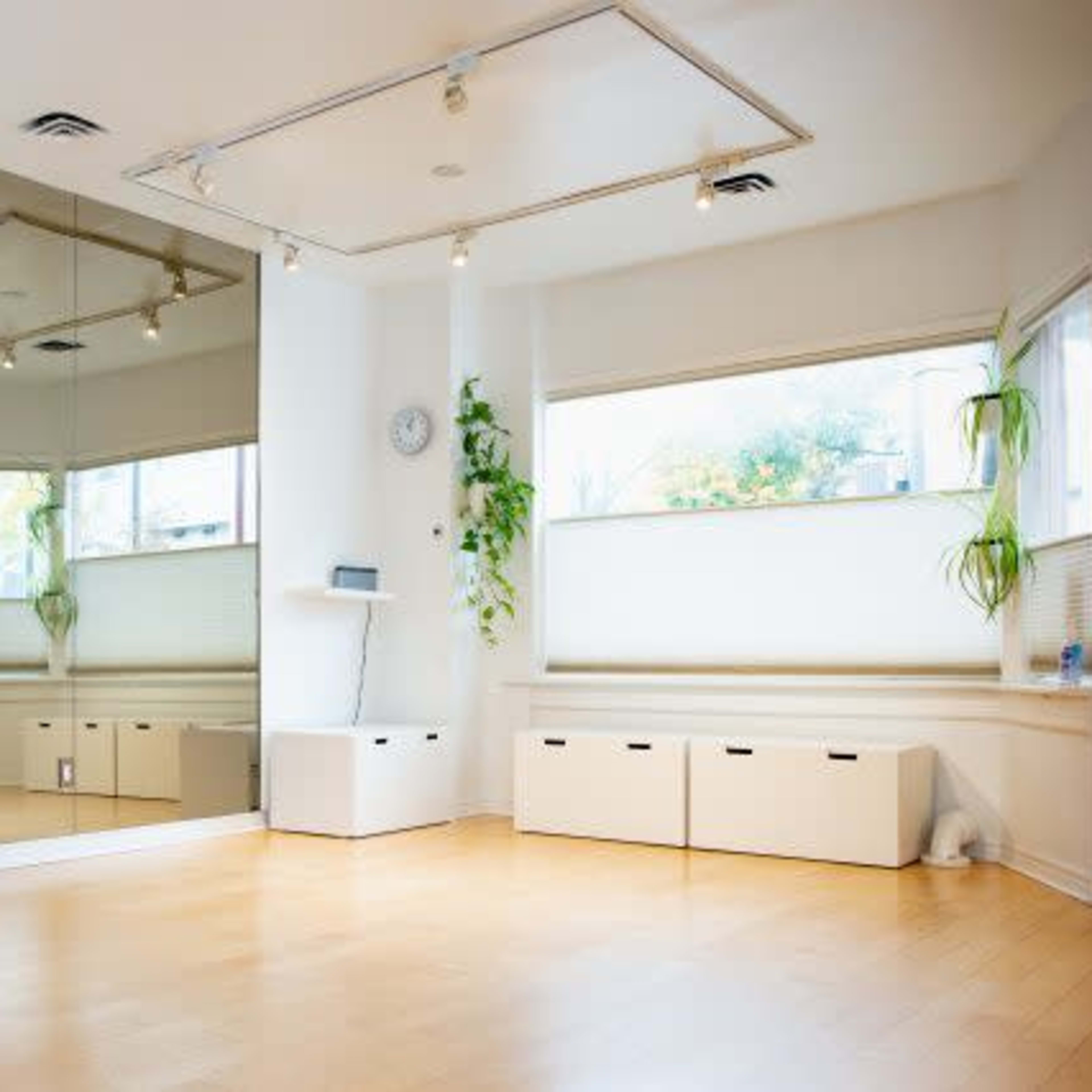 A bright, empty room with wooden flooring, large mirrors on one wall, and windows featuring potted plants.