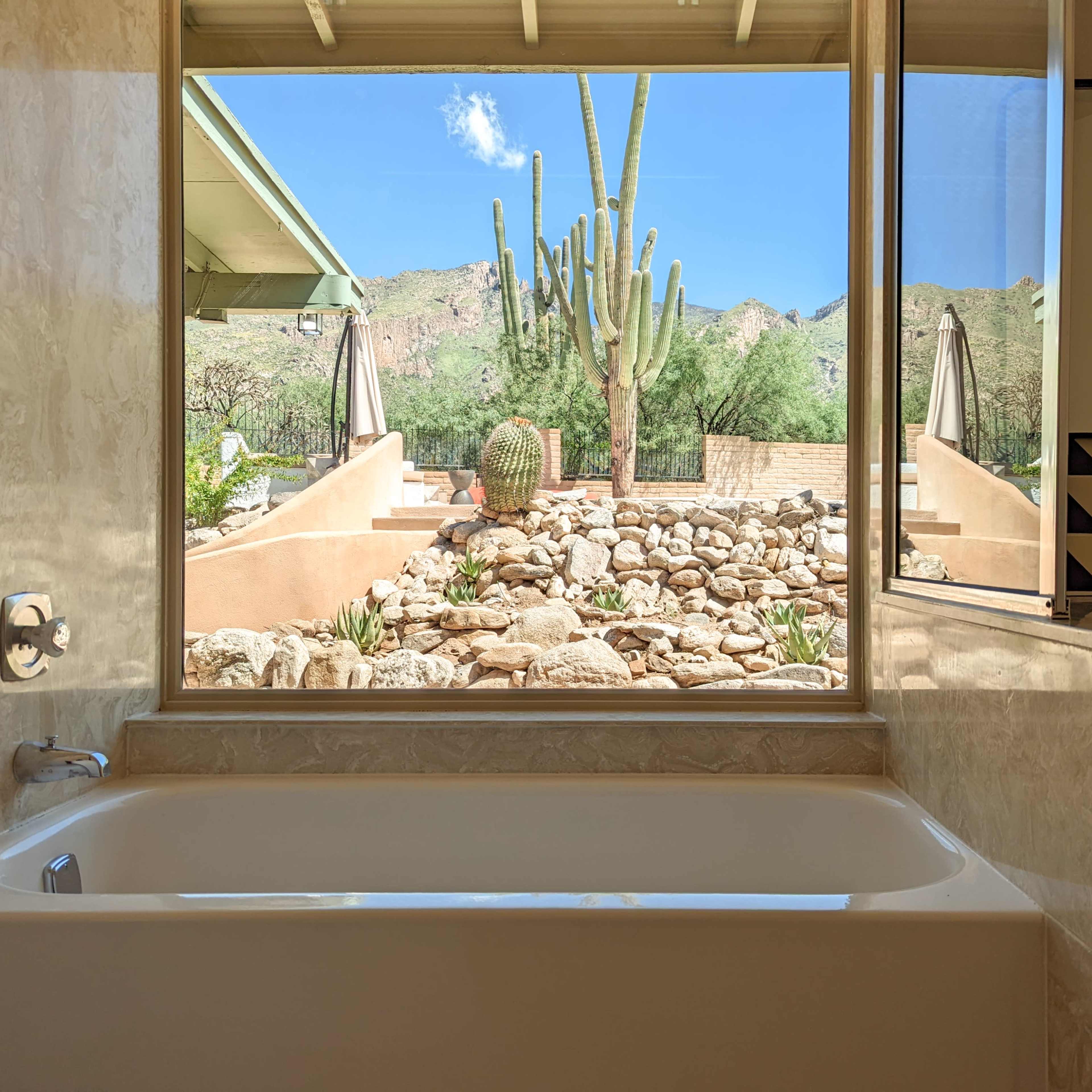 A bathtub in front of a large window, framing a desert landscape with cacti and rocky terrain.